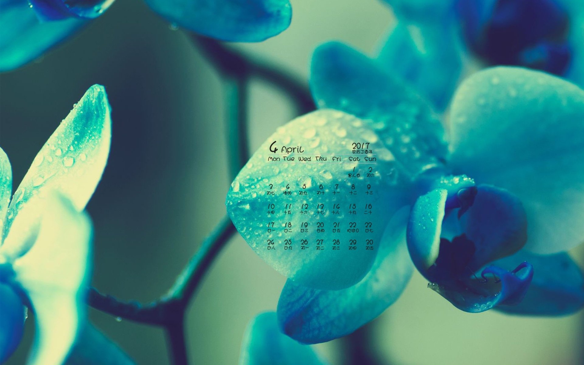 2017年4月,绿色植物