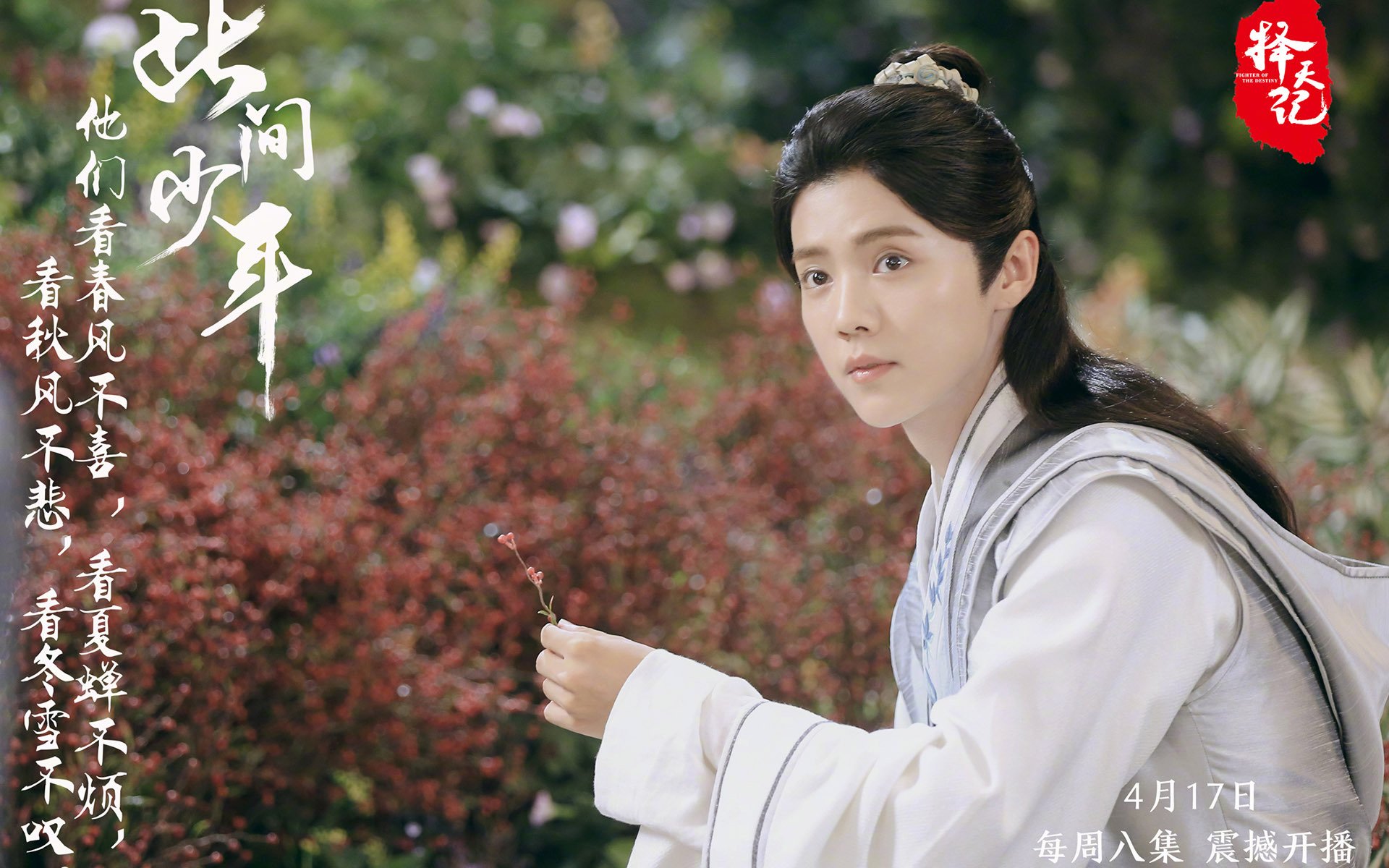 择天记,鹿晗,文字