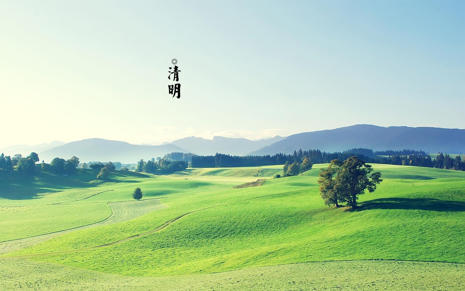 清明节,绿色护眼