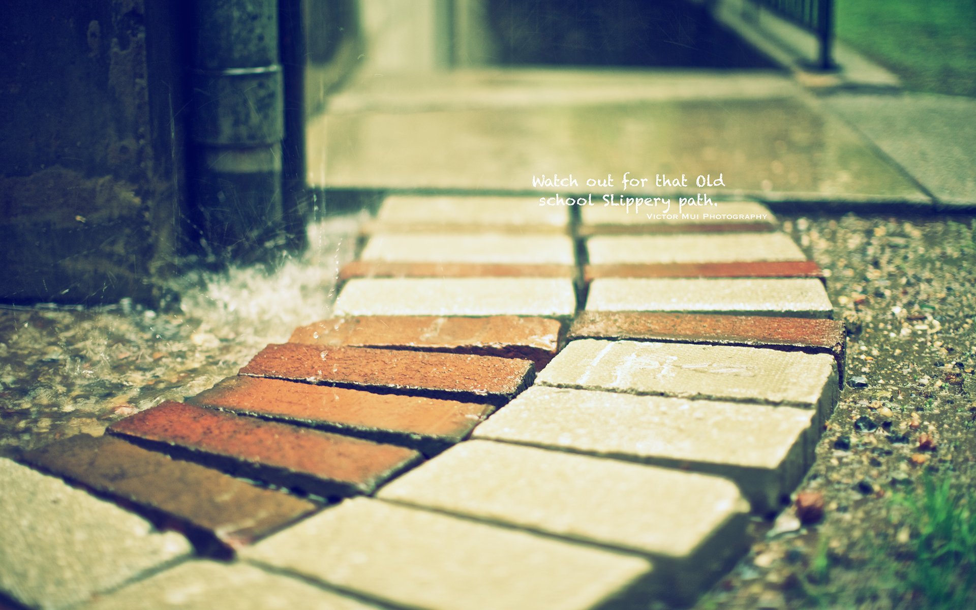 文字,道路,英文