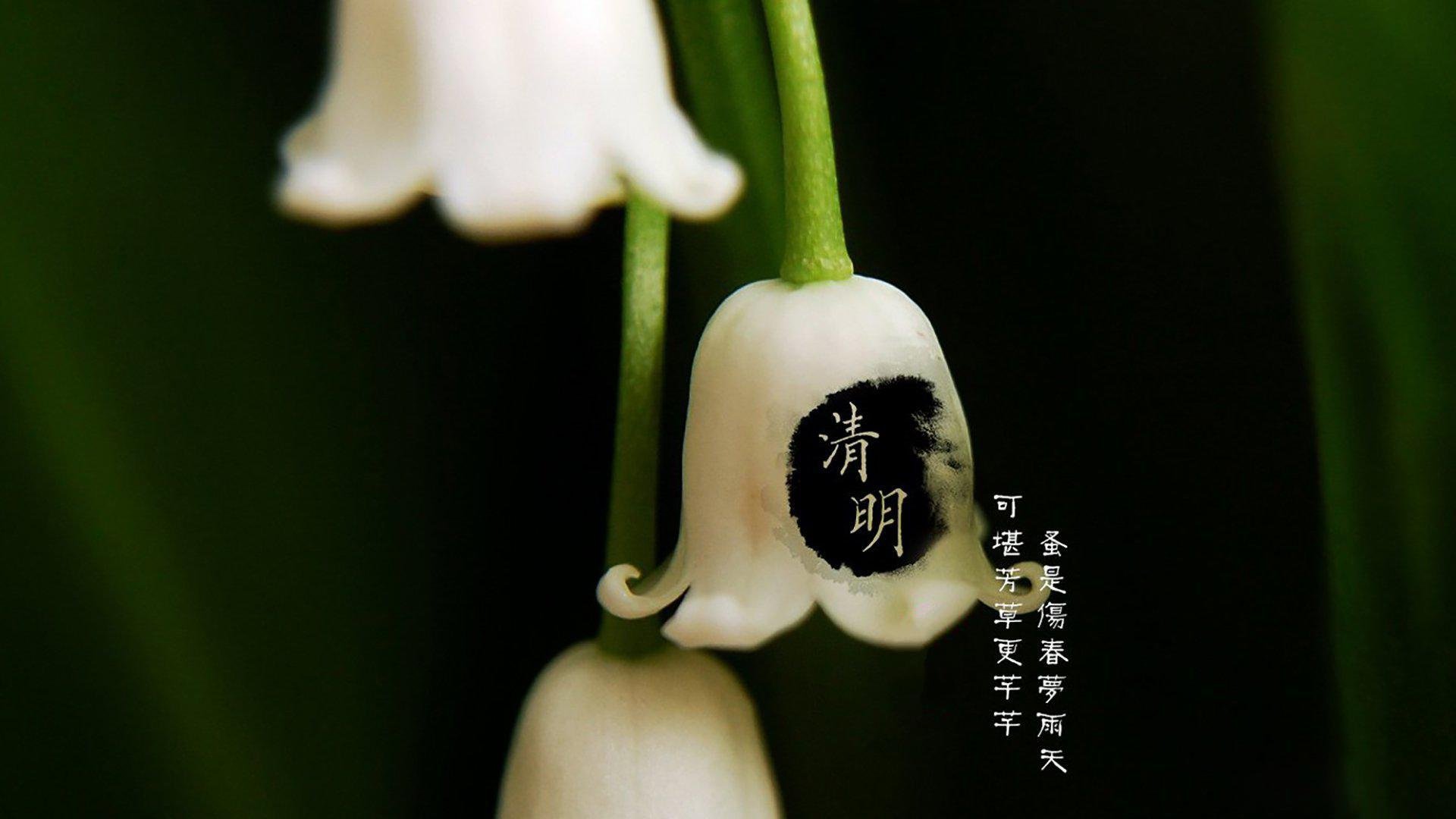 清明节
