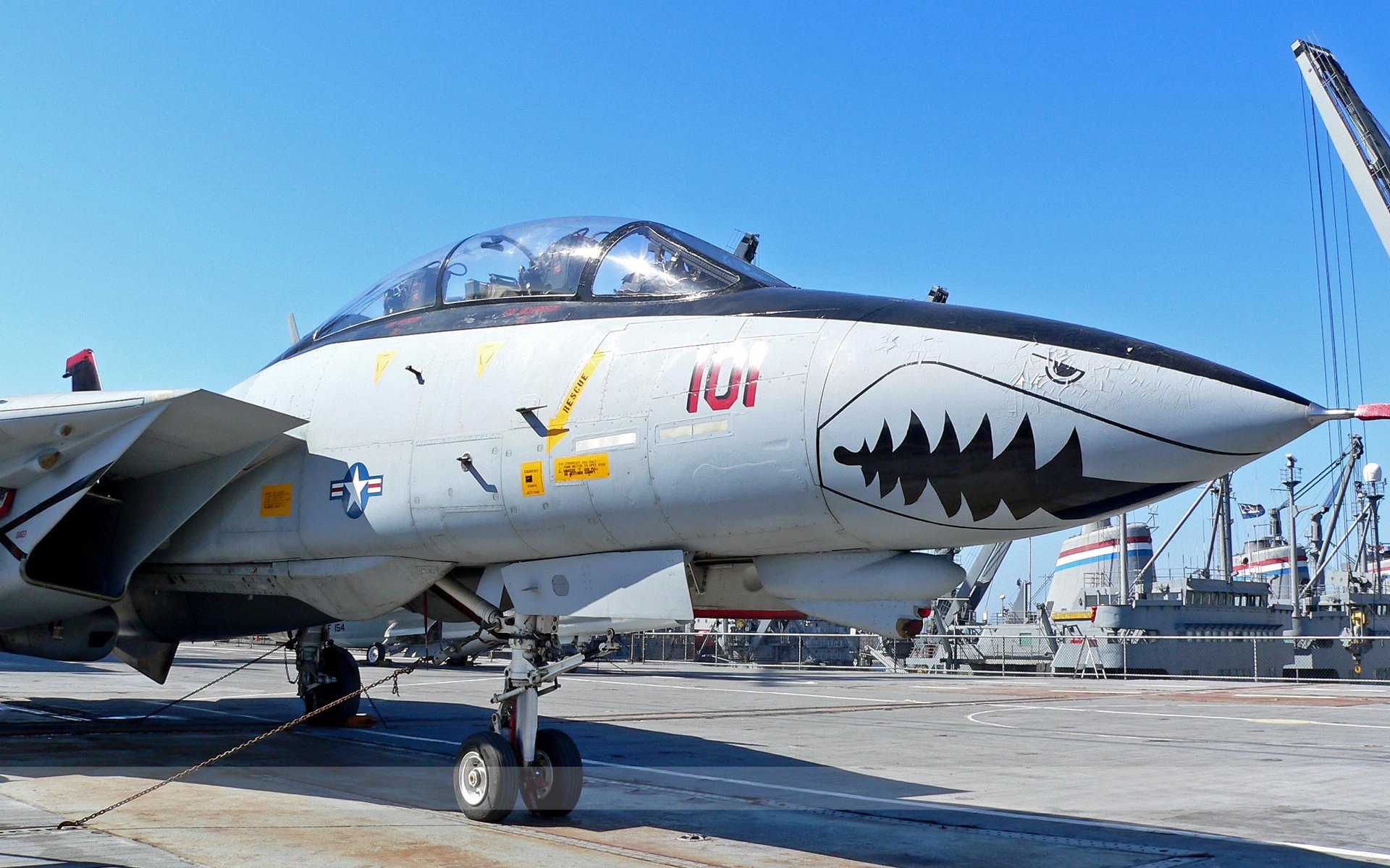 F-14雄猫,战斗机