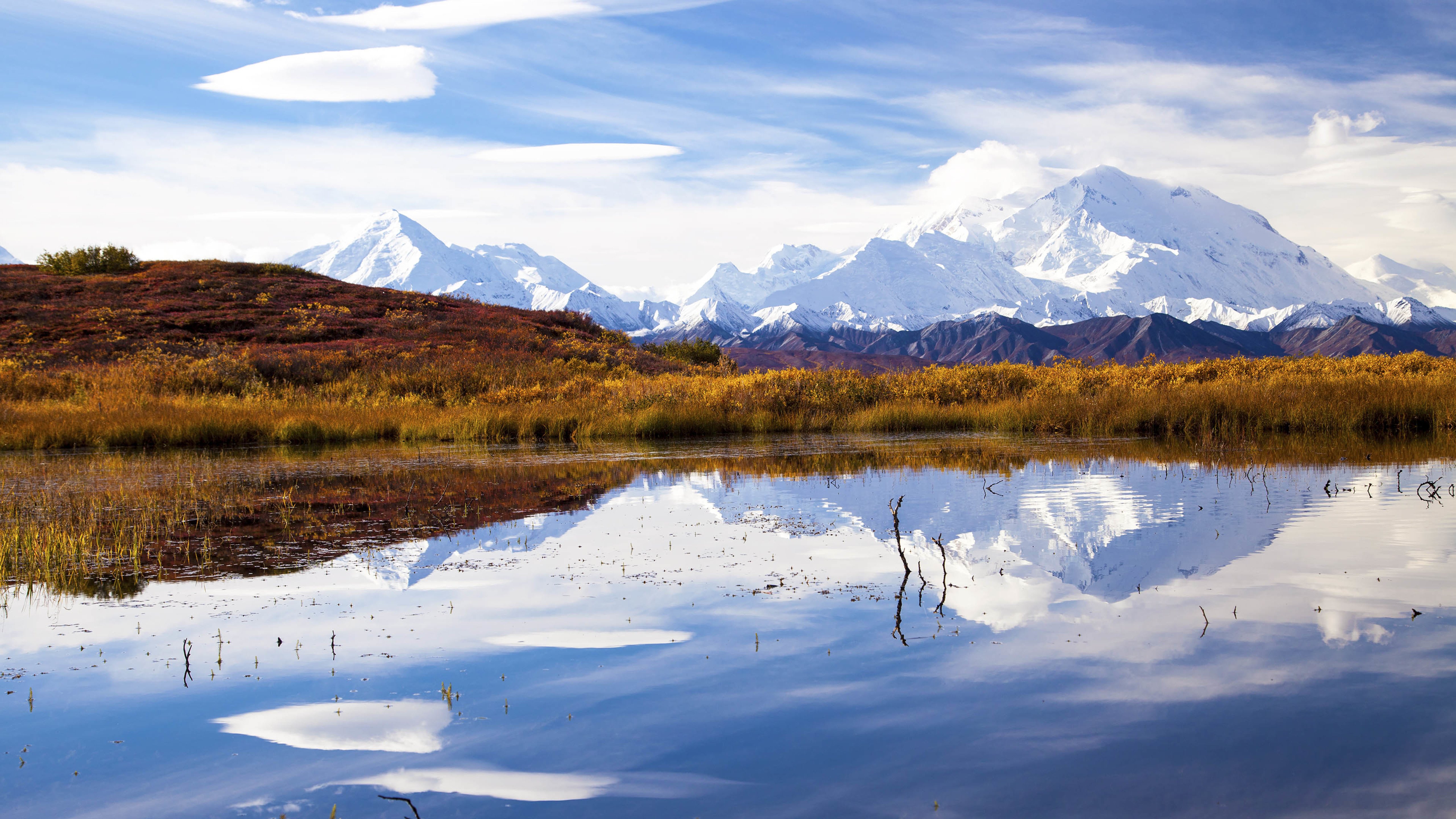 雪山,湖水,草地,空旷
