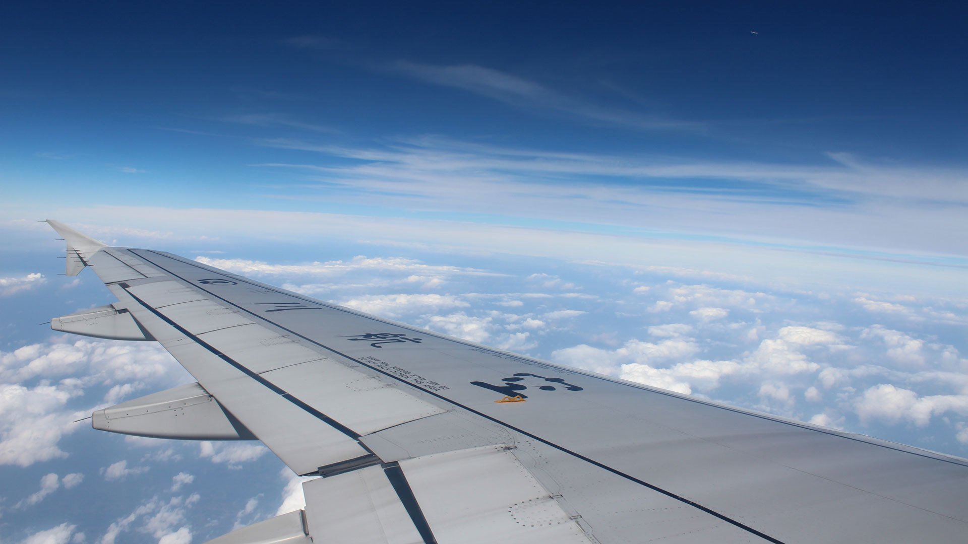 飞机,航空,客机,机翼,蓝天白云