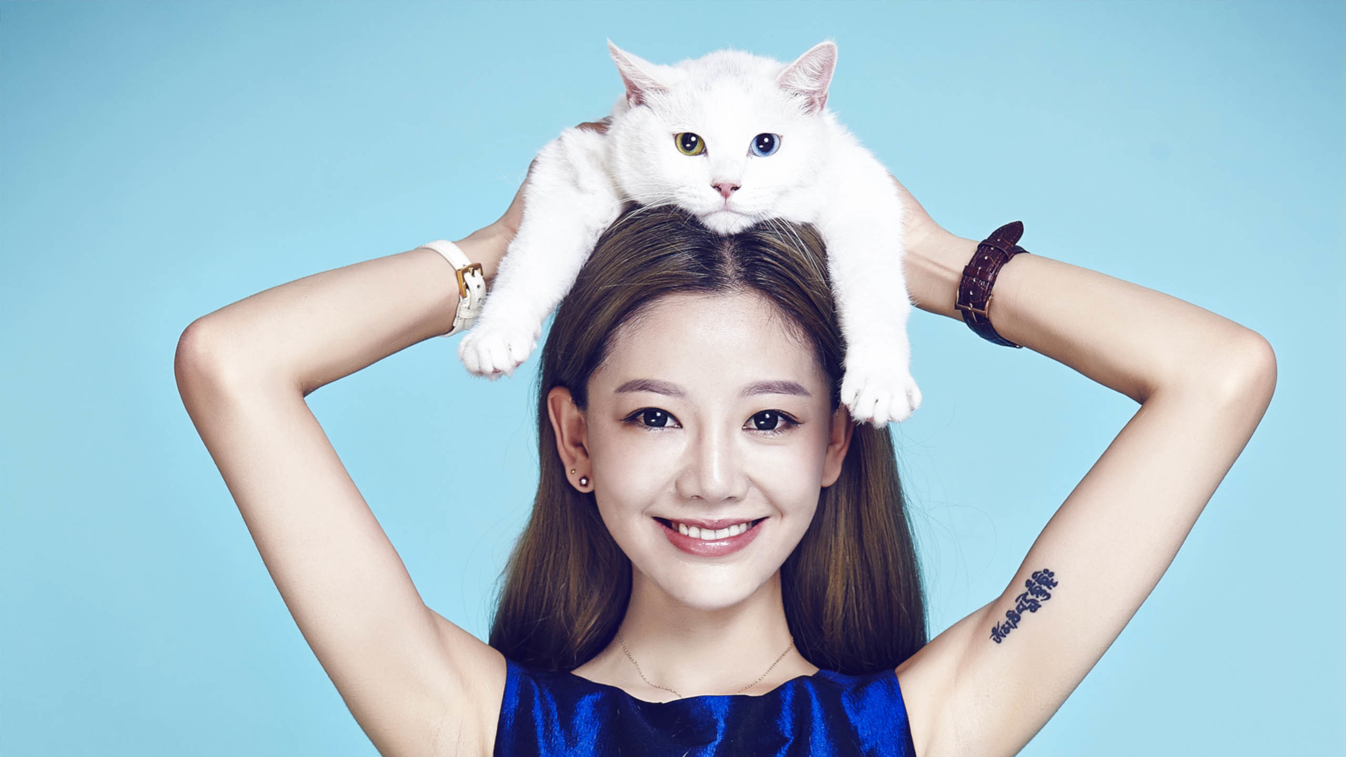 美女和白色猫咪,纹身