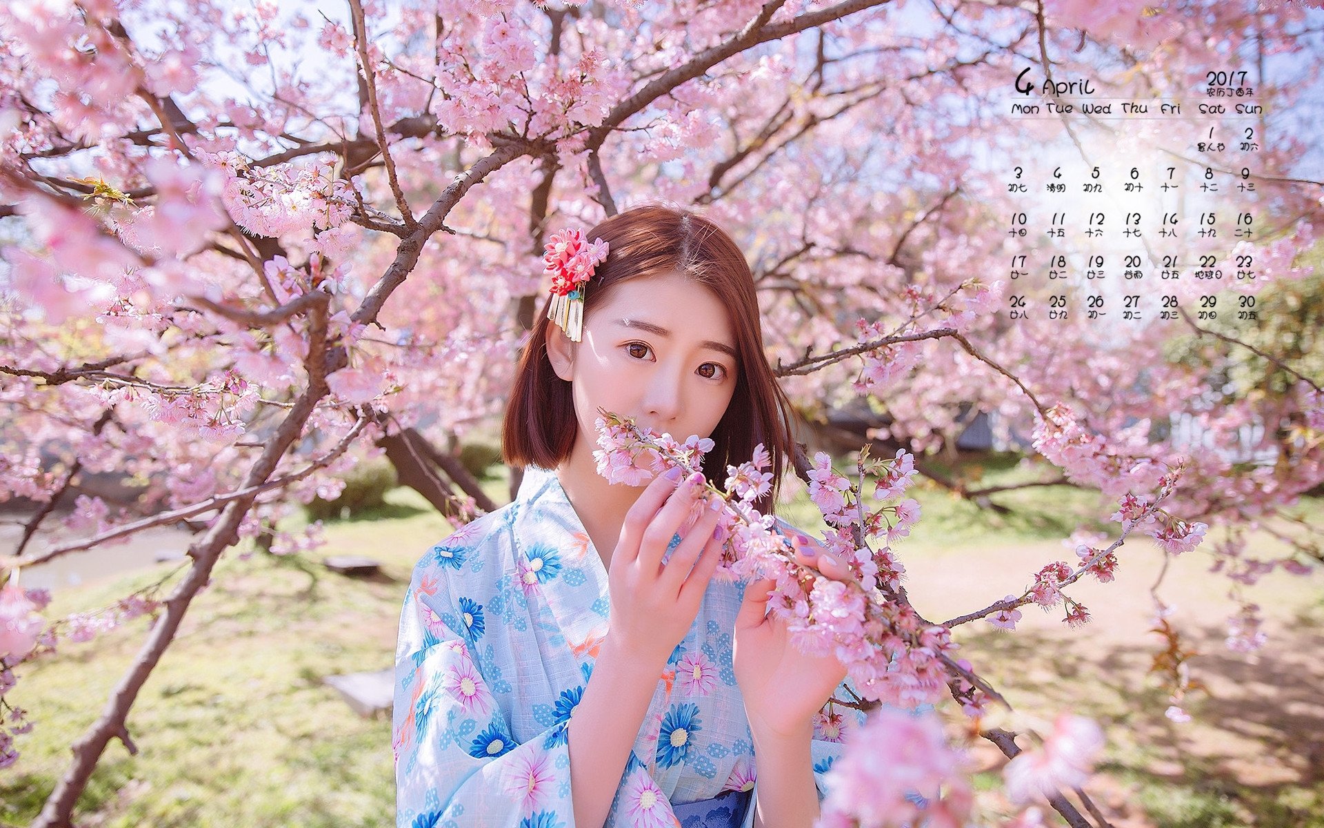 2017年4月,樱花和服美女