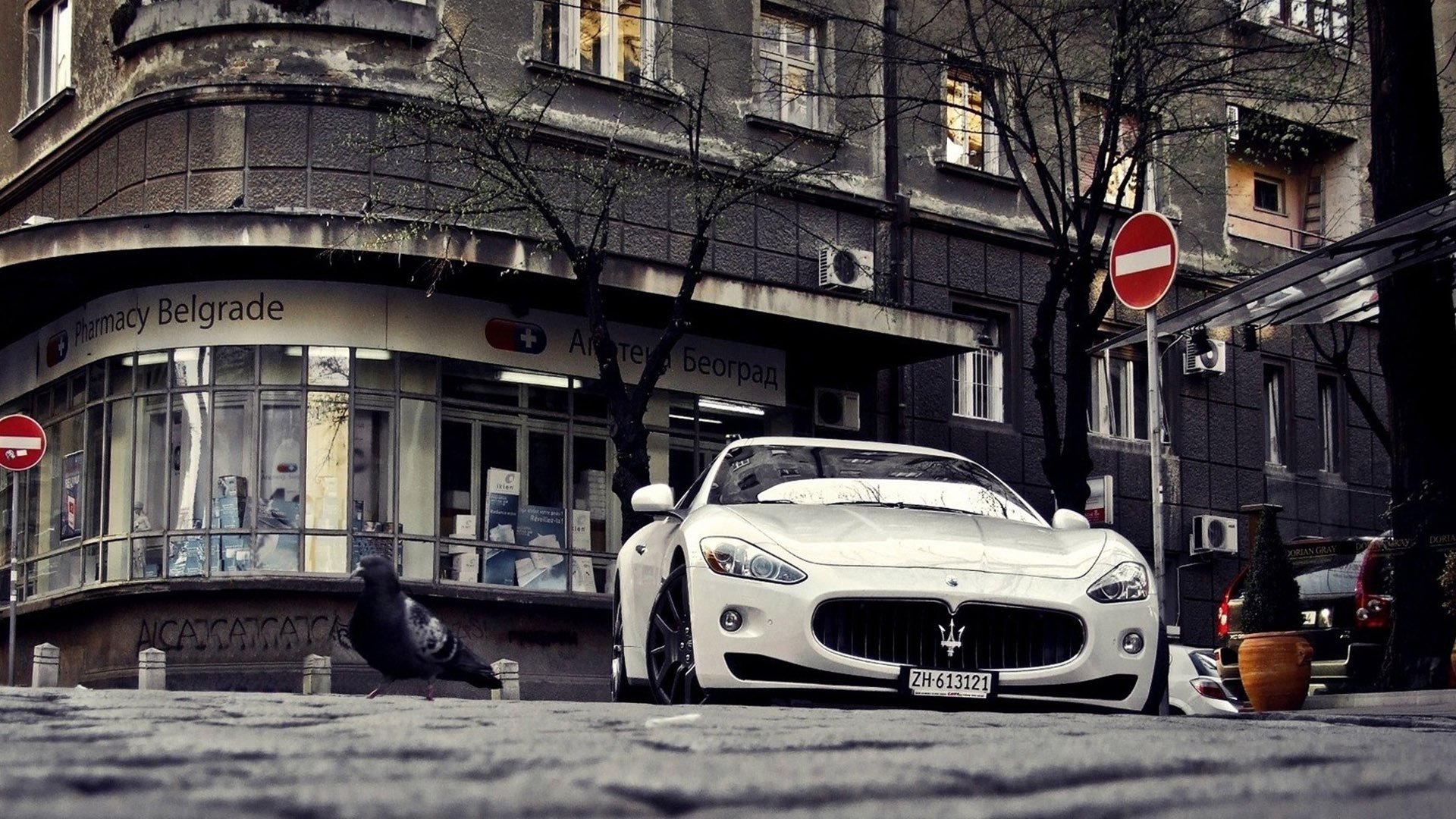 玛莎拉蒂,白色轿车