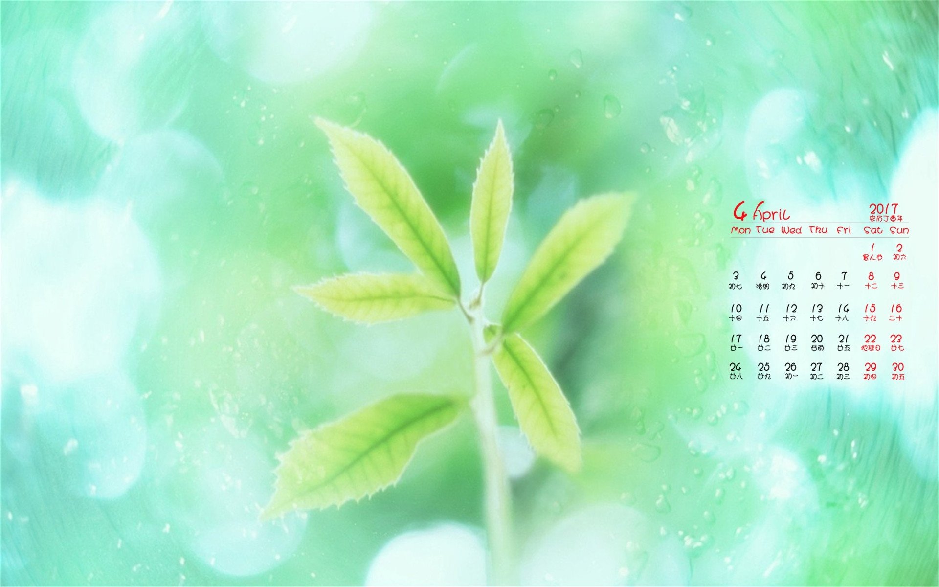 2017年4月,小清新,绿色植物,护眼