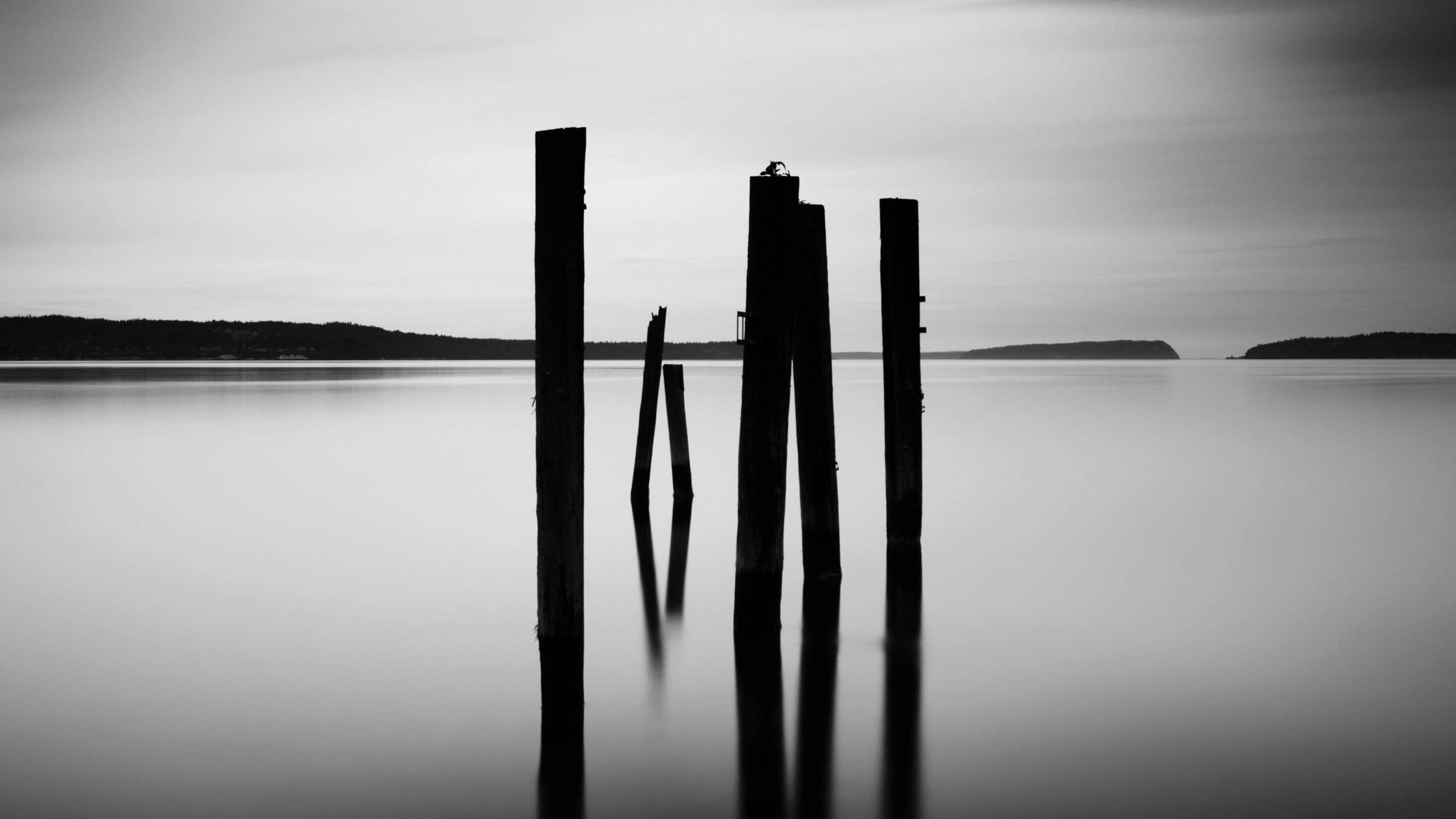 湖泊,黑白,意境,木桩