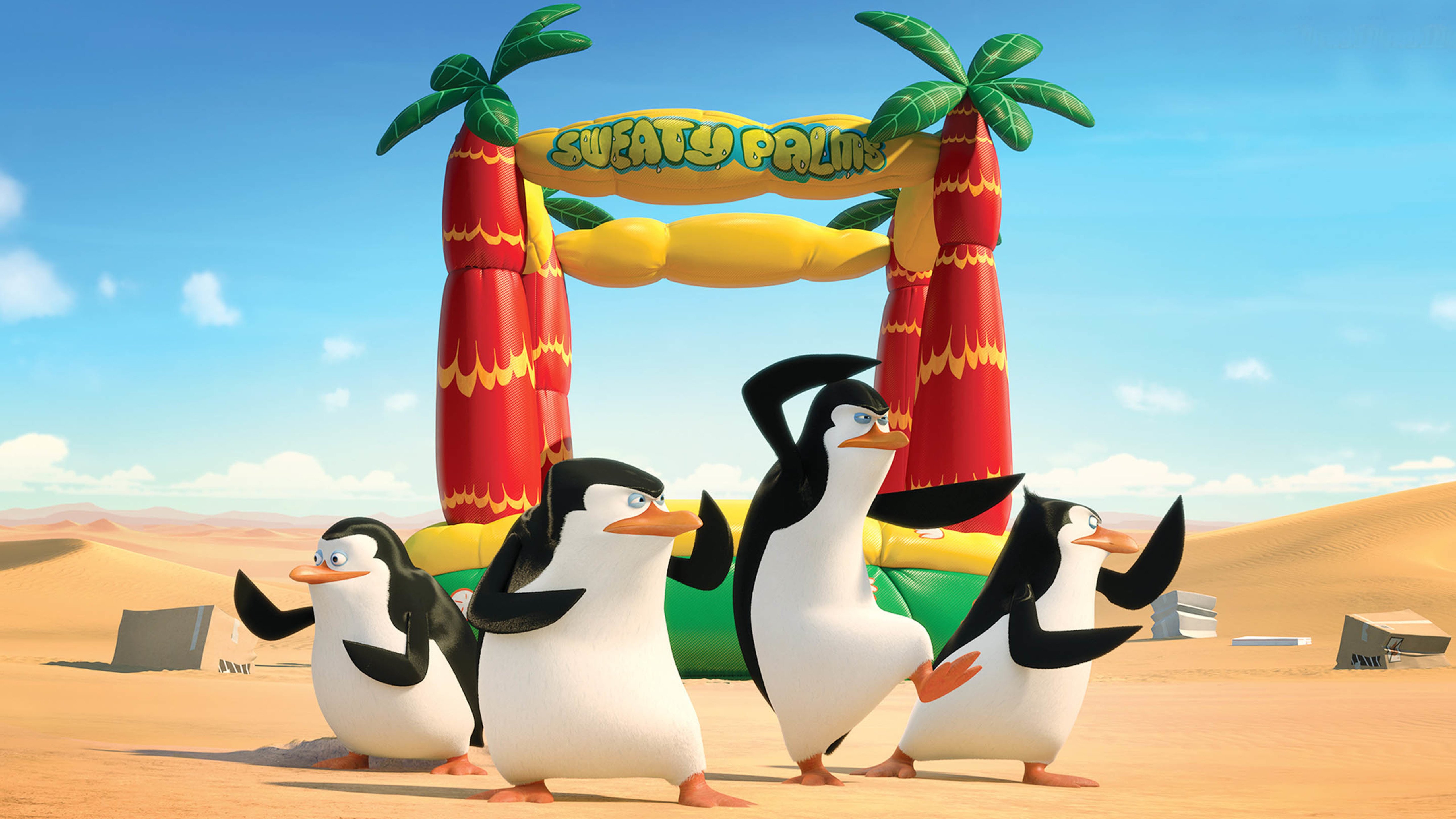 马达加斯加的企鹅