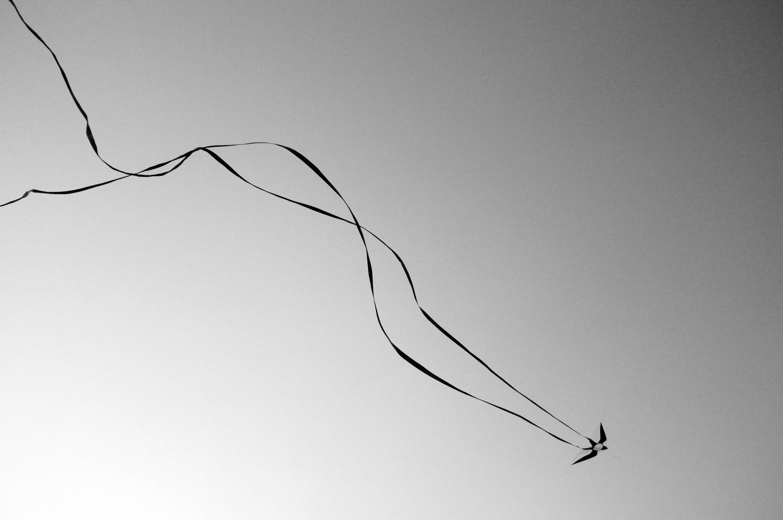 趣味,风筝,黑白