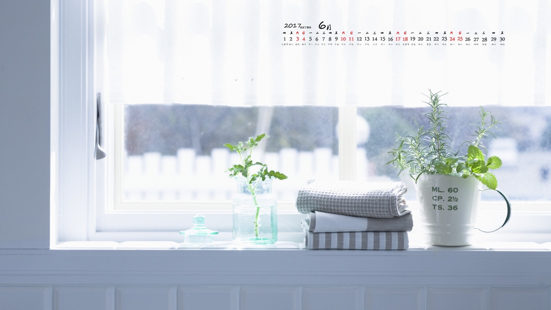 2017年6月,盆栽,绿色植物,窗台