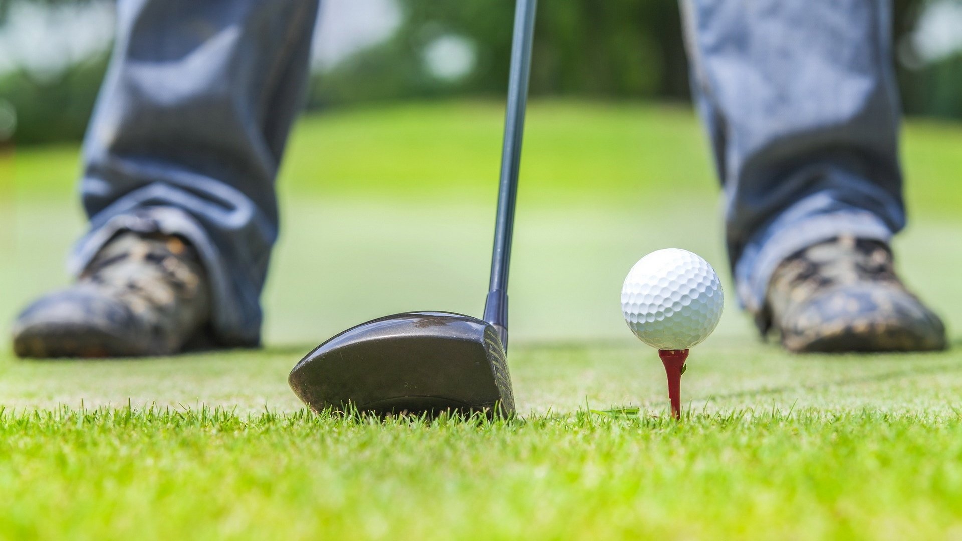 高尔夫球,草地