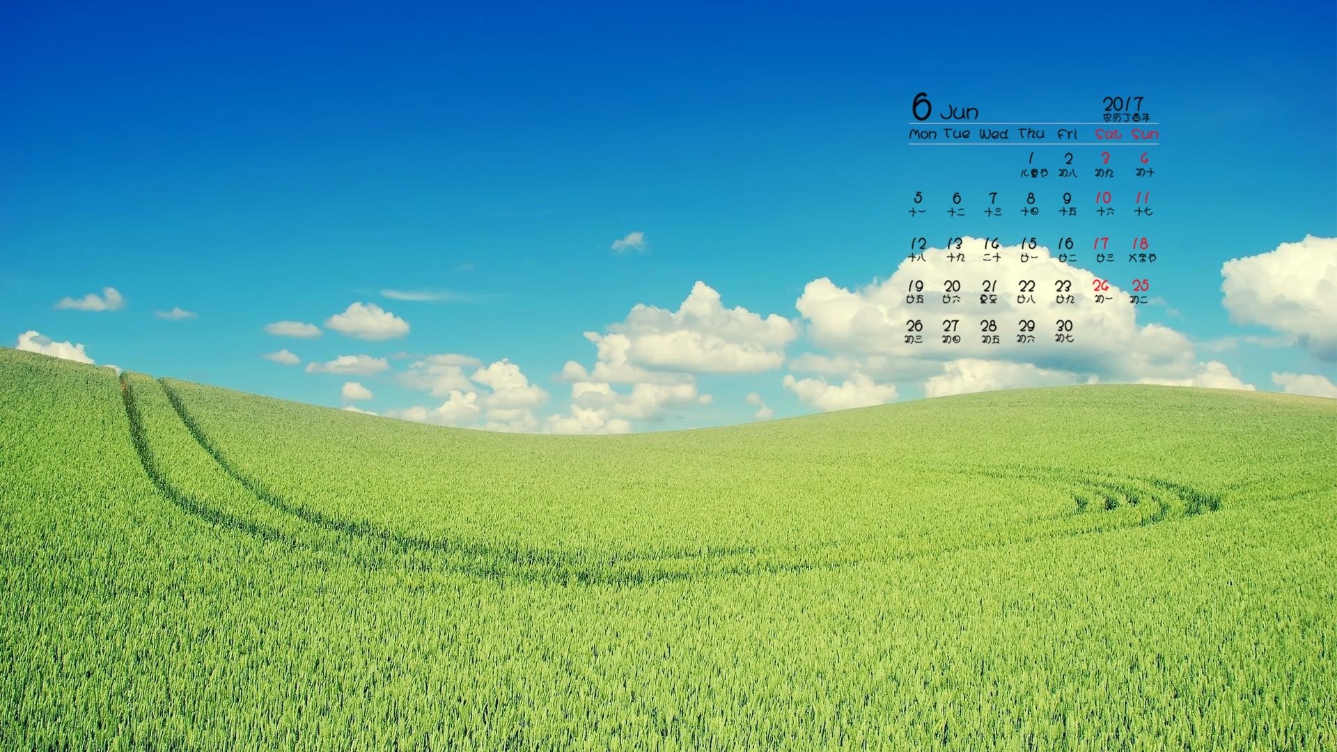 2017年6月,草地,蓝天白云