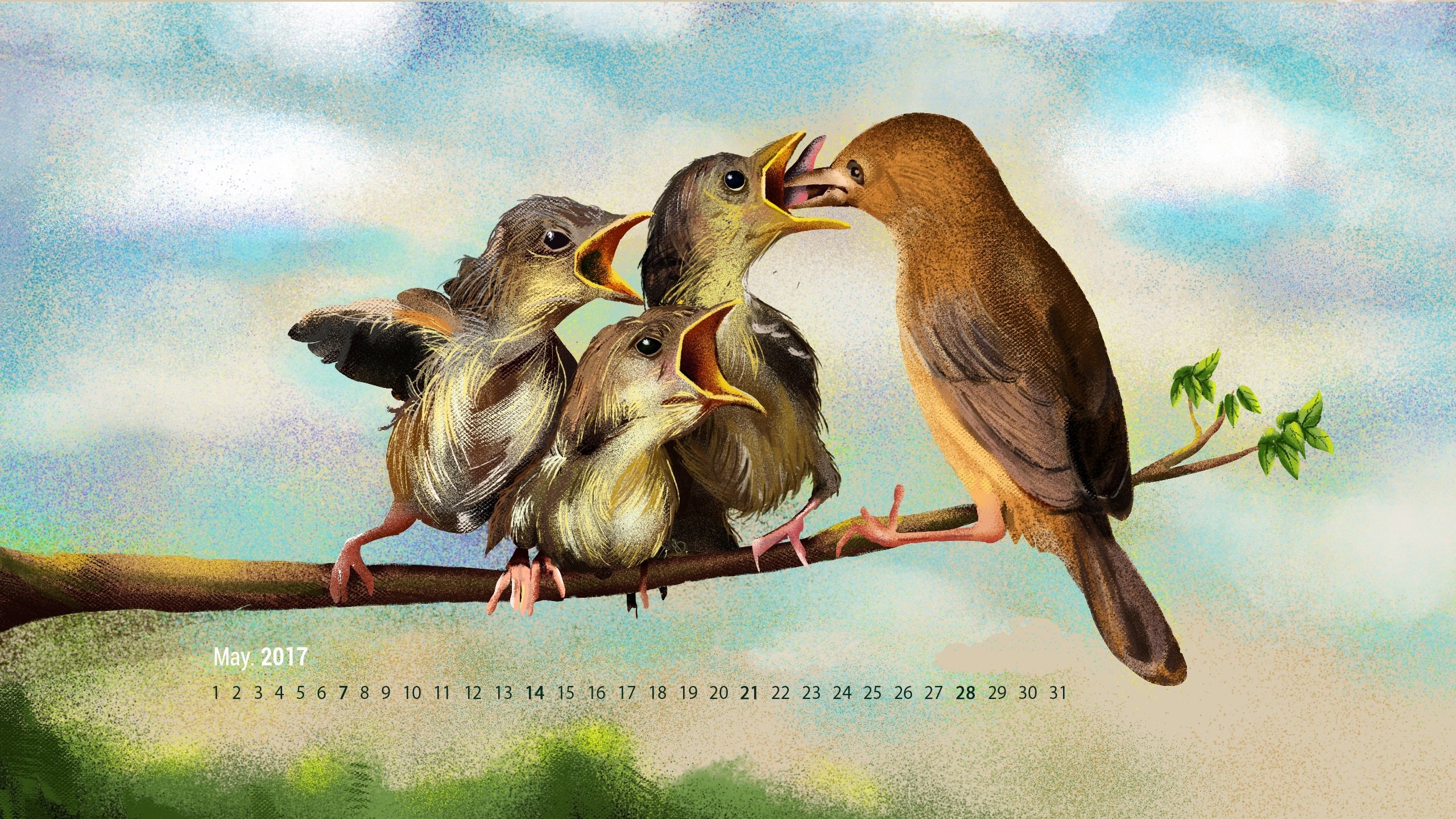 2017年5月,手绘,麻雀,小鸟