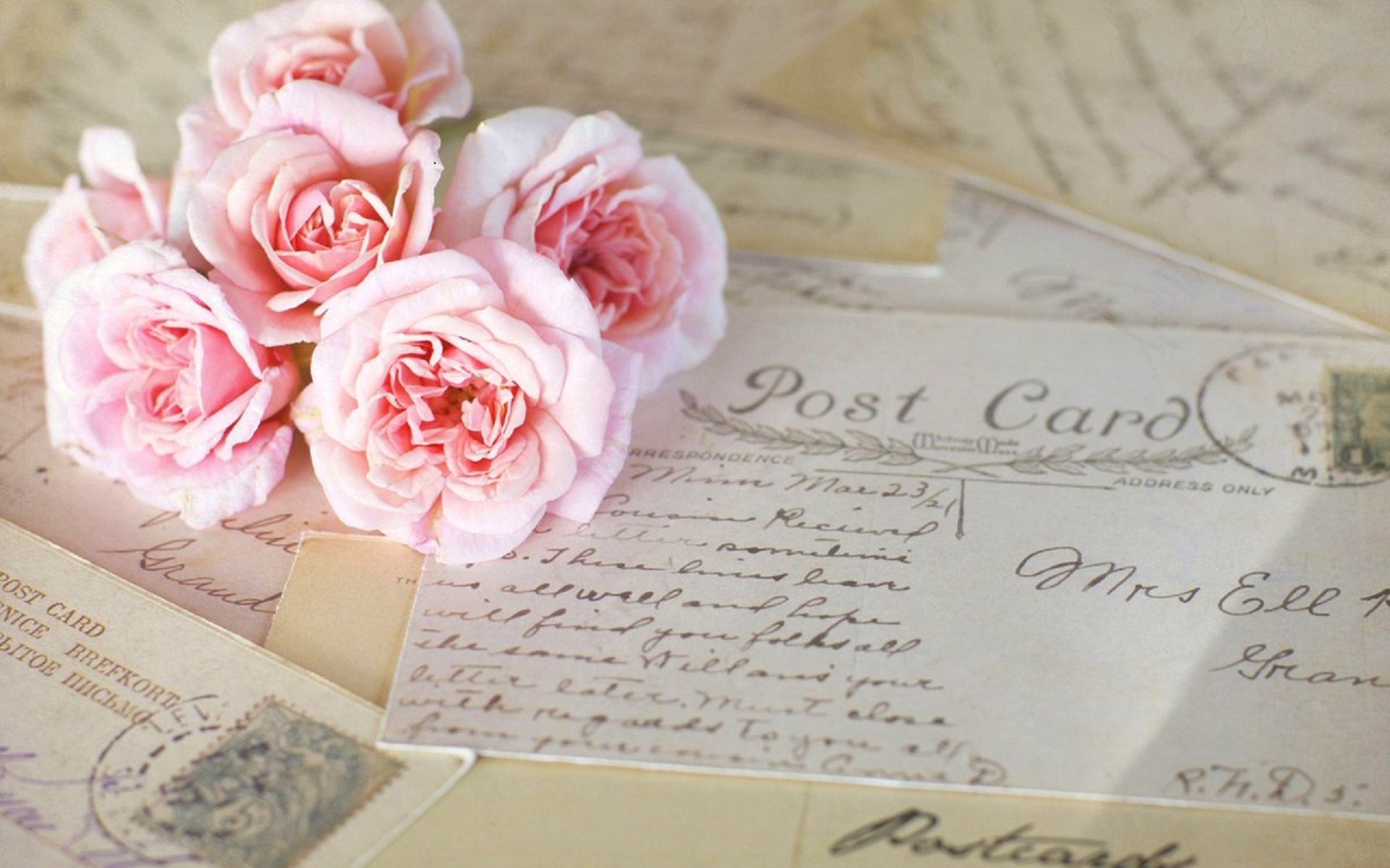 唯美温馨,玫瑰花,信纸