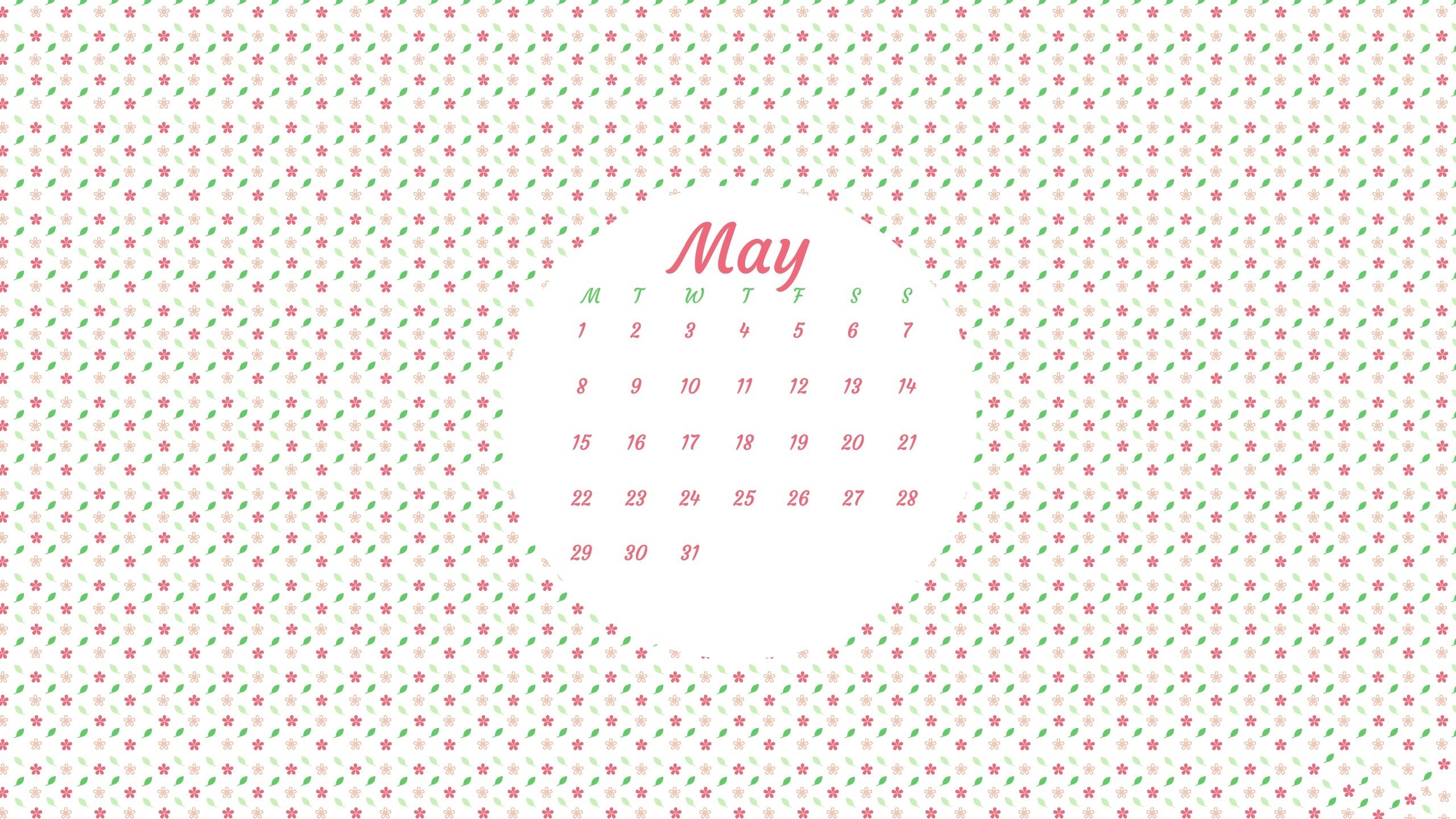 2017年5月,鲜花,小清新