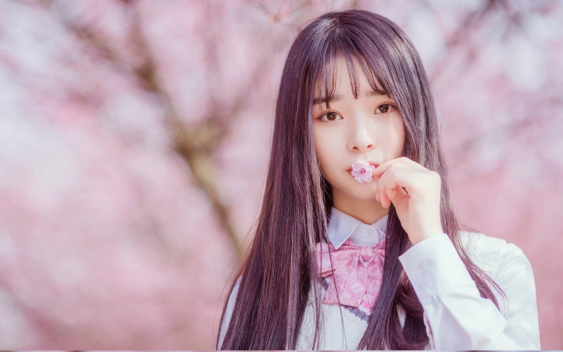 清纯,文艺唯美,桃花