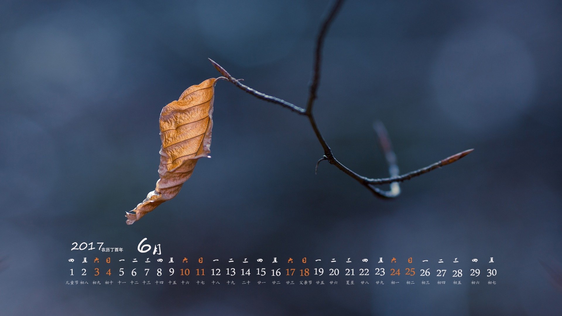 2017年6月,树叶,微距