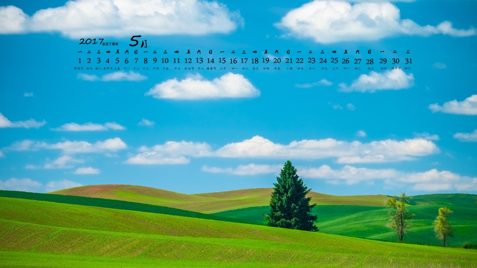 2017年5月,草地,蓝天白云