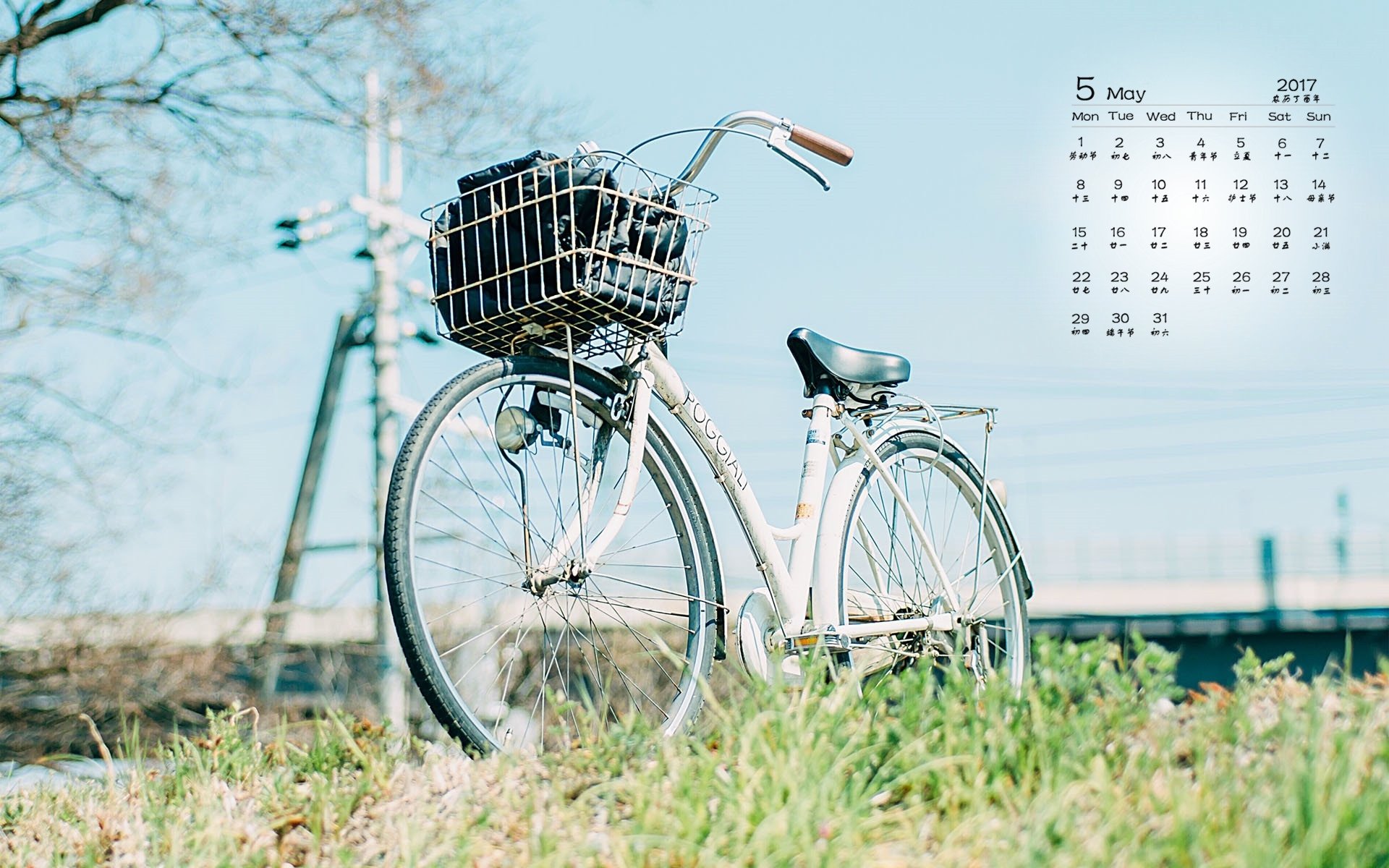 2017年5月,小清新,自行车