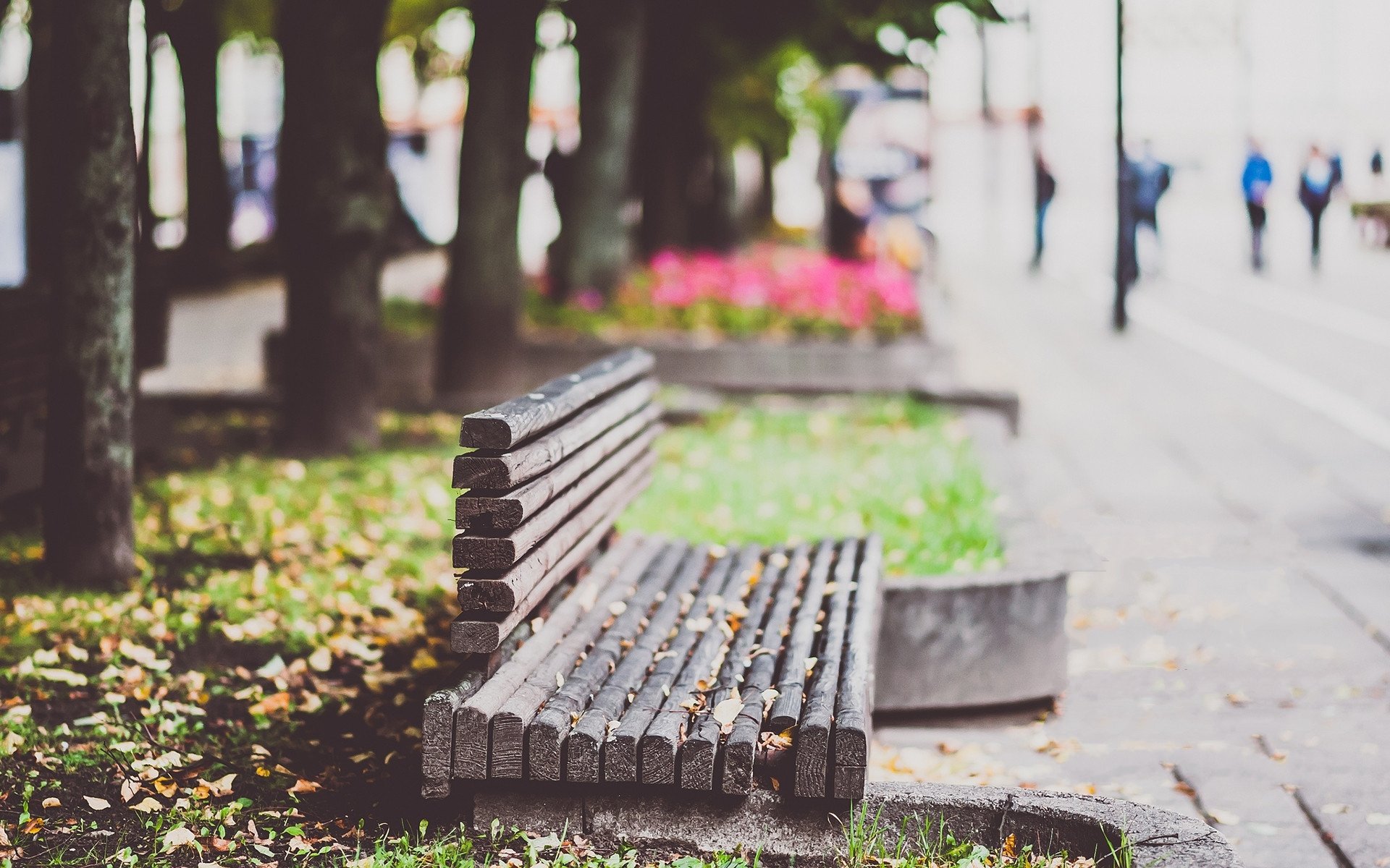 秋意正浓,落叶,长椅