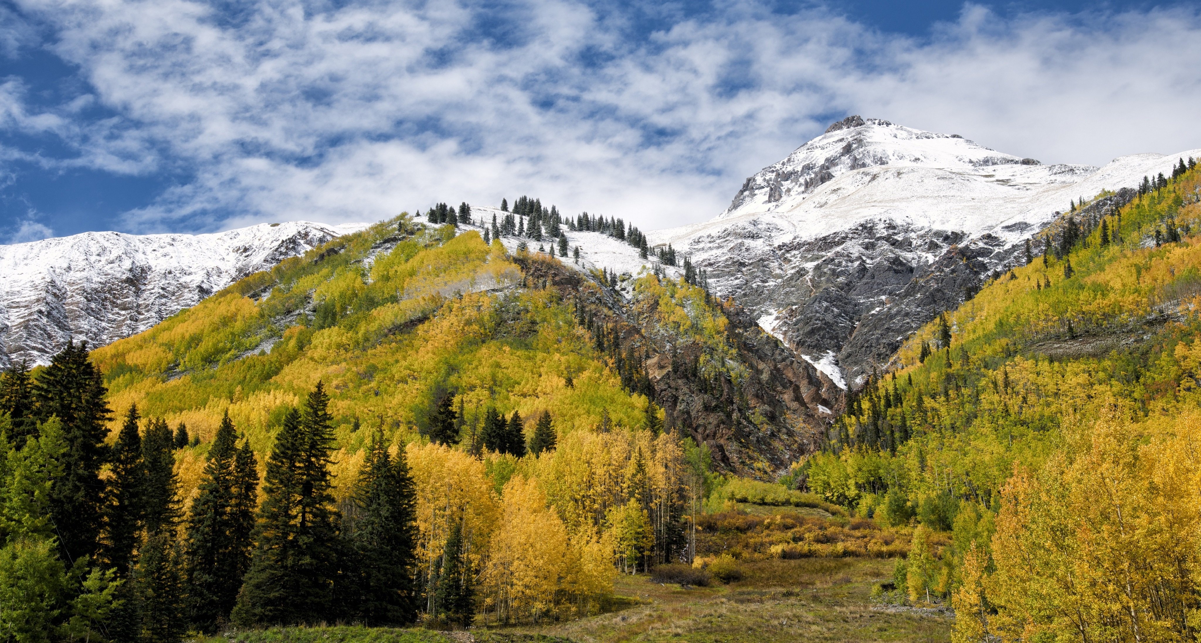 大山,森林,秋天