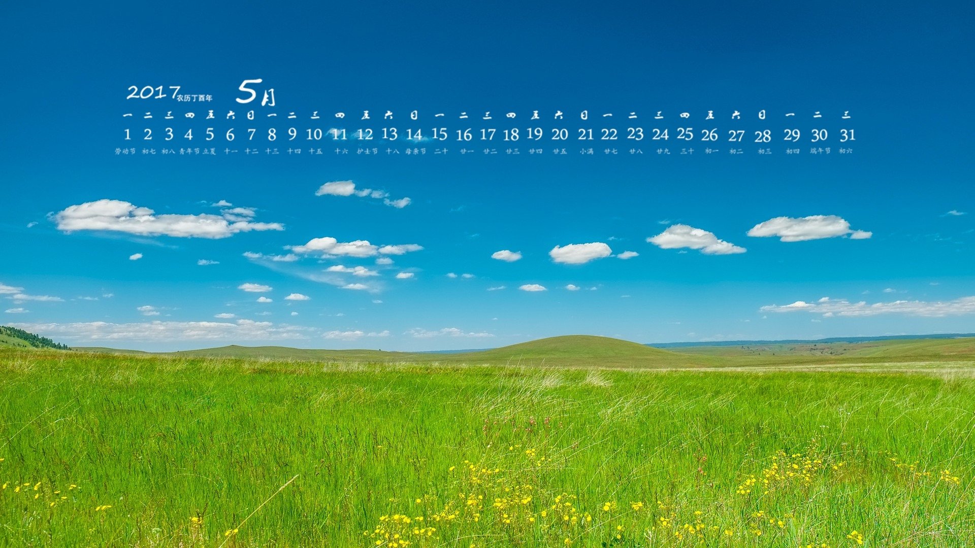 2017年5月,草地,蓝天白云