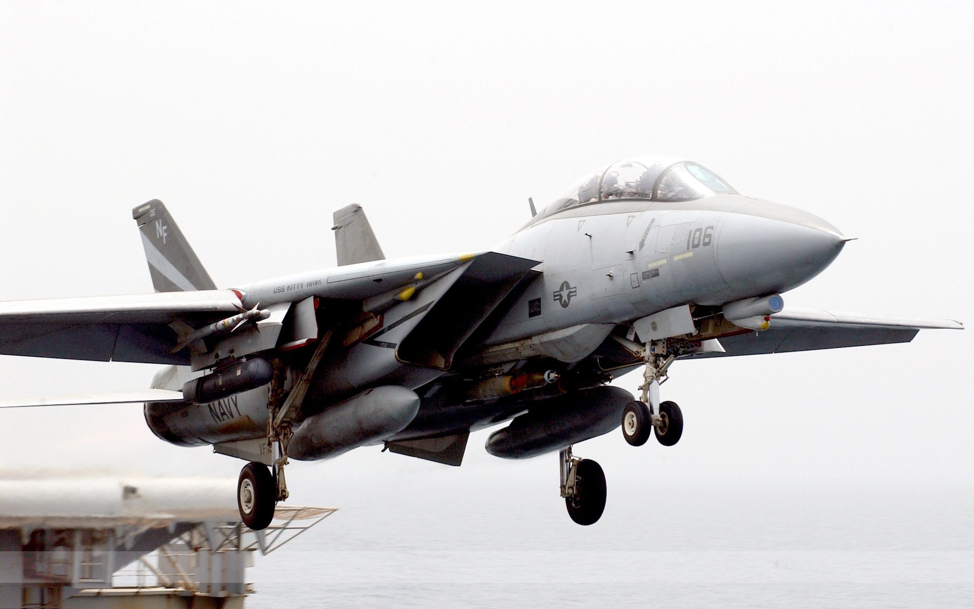 F-14雄猫,战斗机