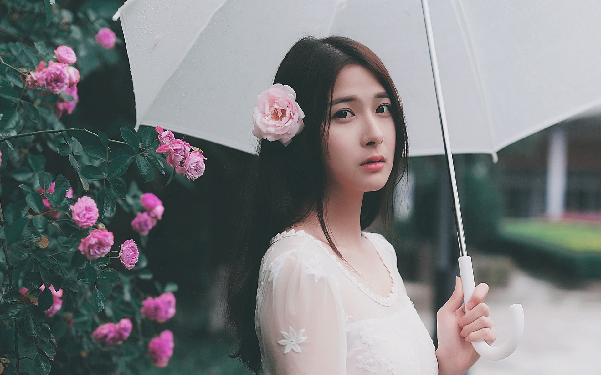 文艺古风,唯美,花朵,雨伞