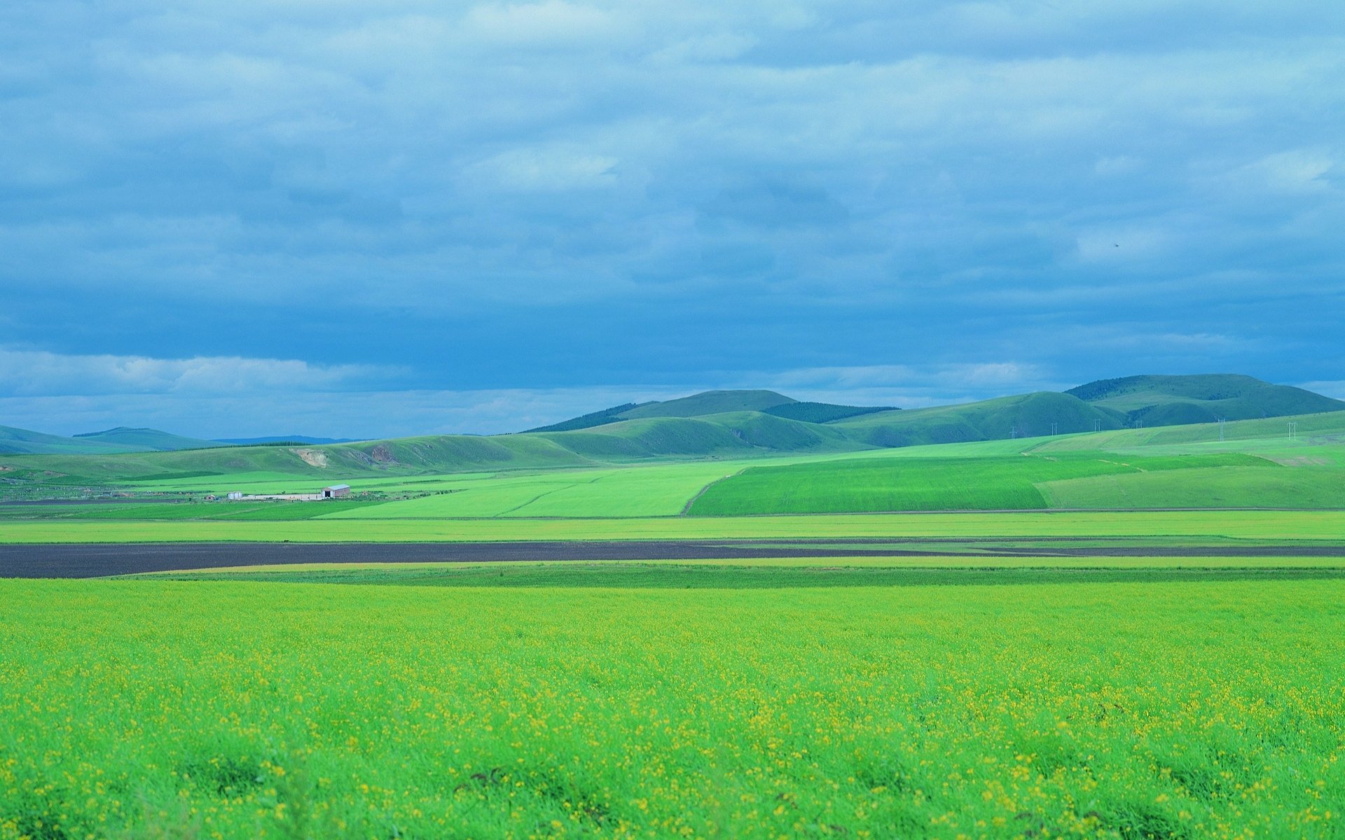 春意盎然,绿色,田野
