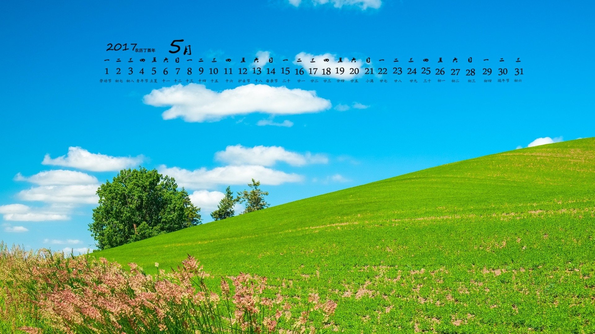 2017年5月,草地,蓝天白云