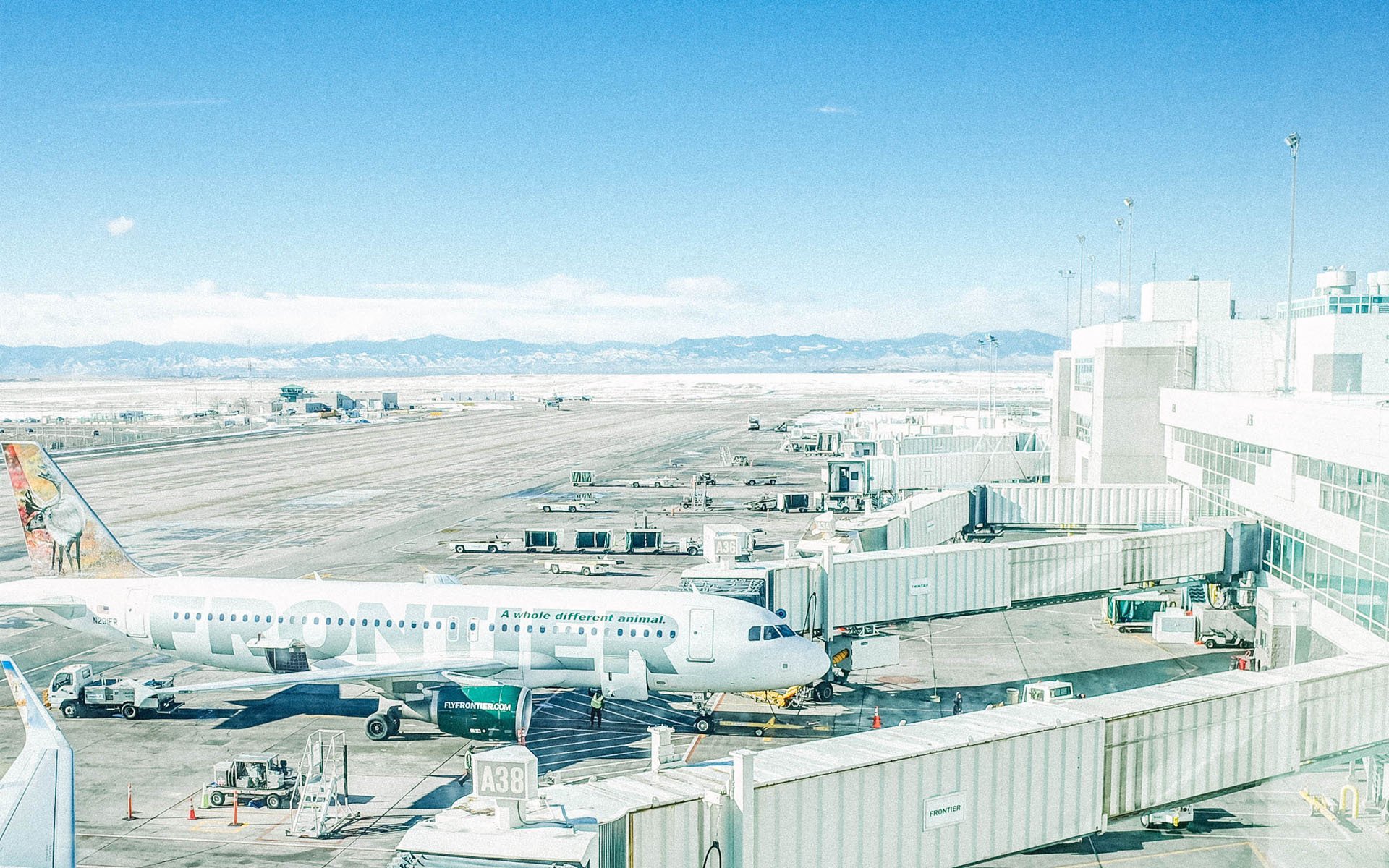 机场,飞机,客机