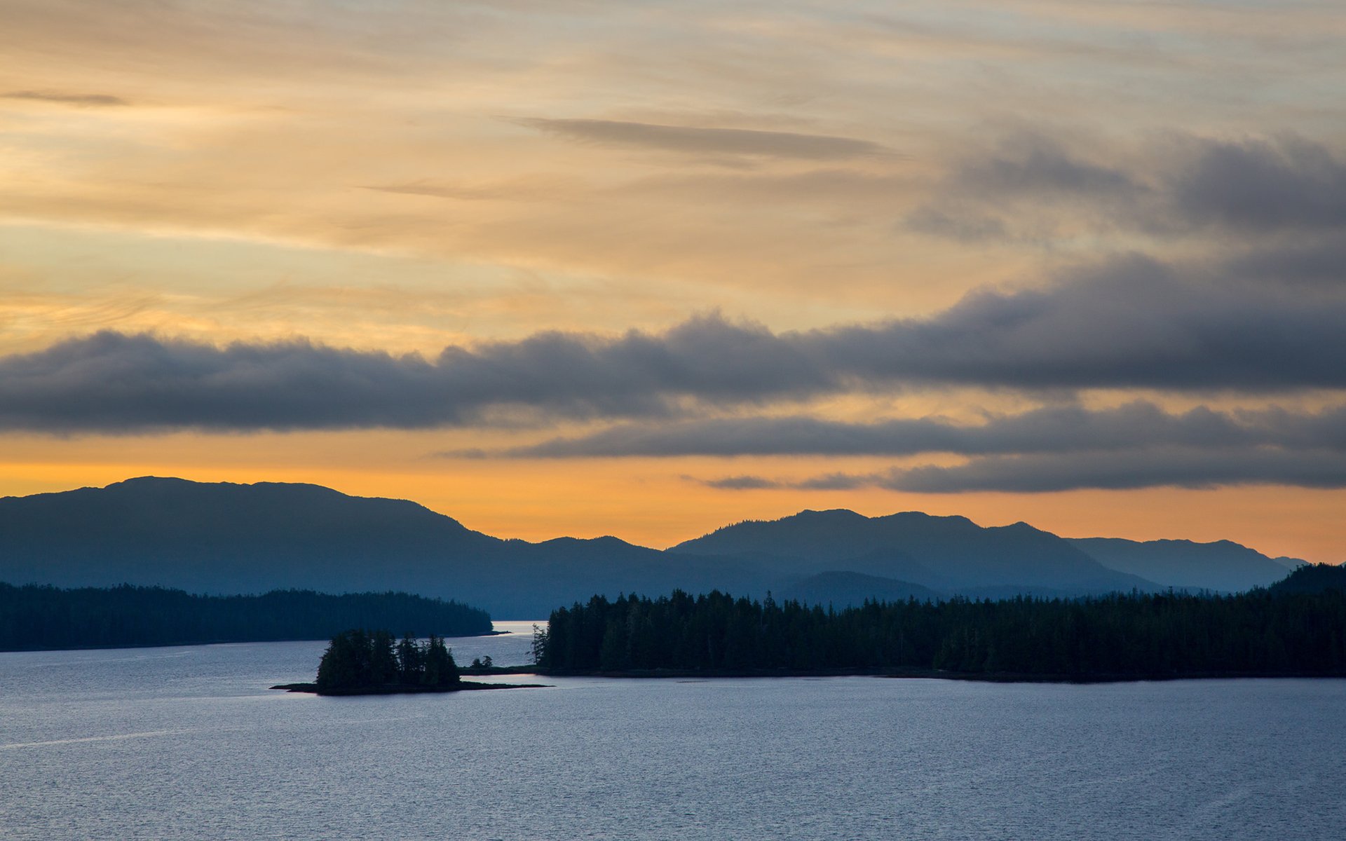 夕阳,湖泊,森林