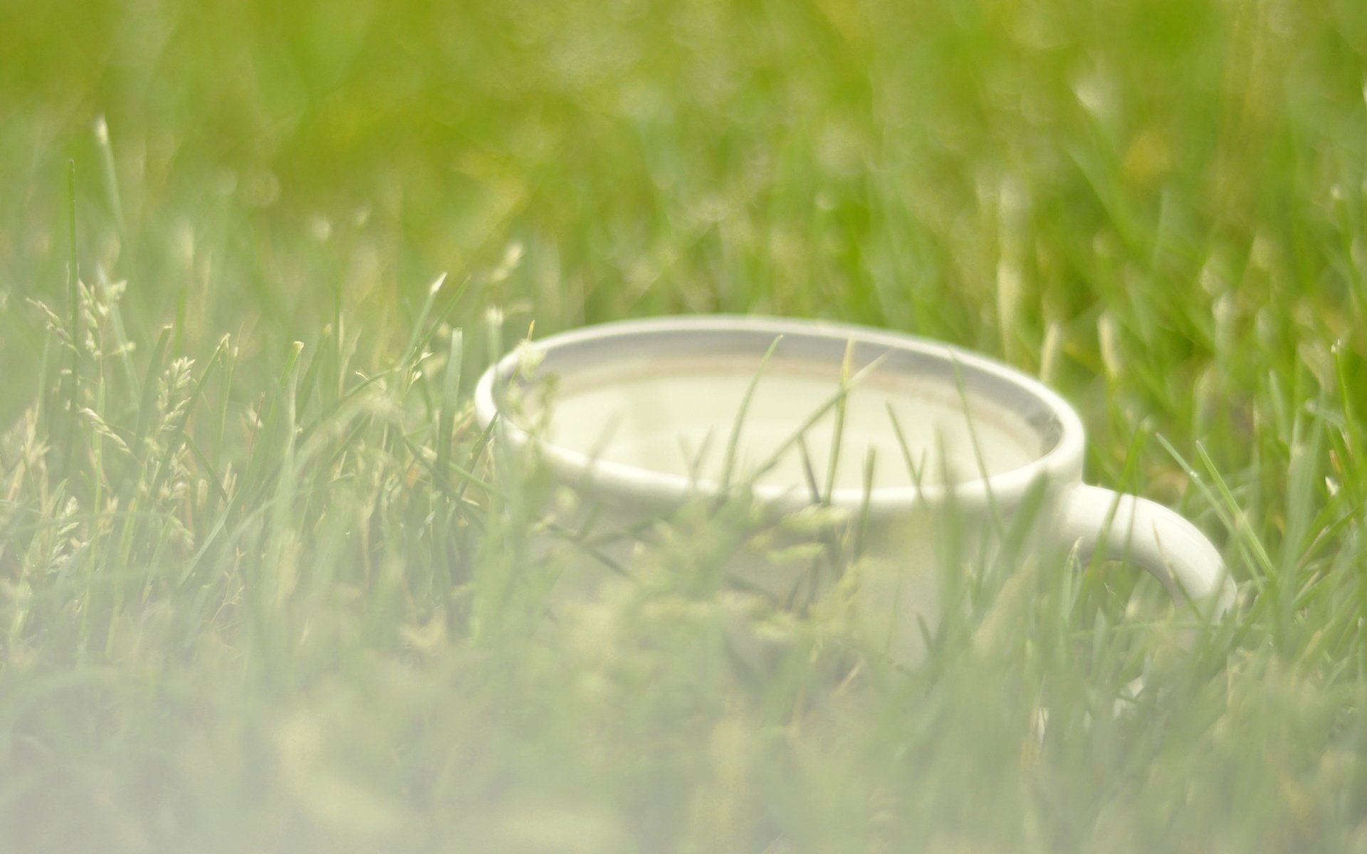 舒缓压力,牛奶,杯子