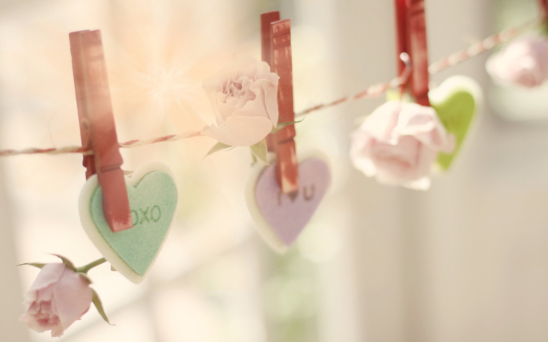 心动创意,爱心,花朵