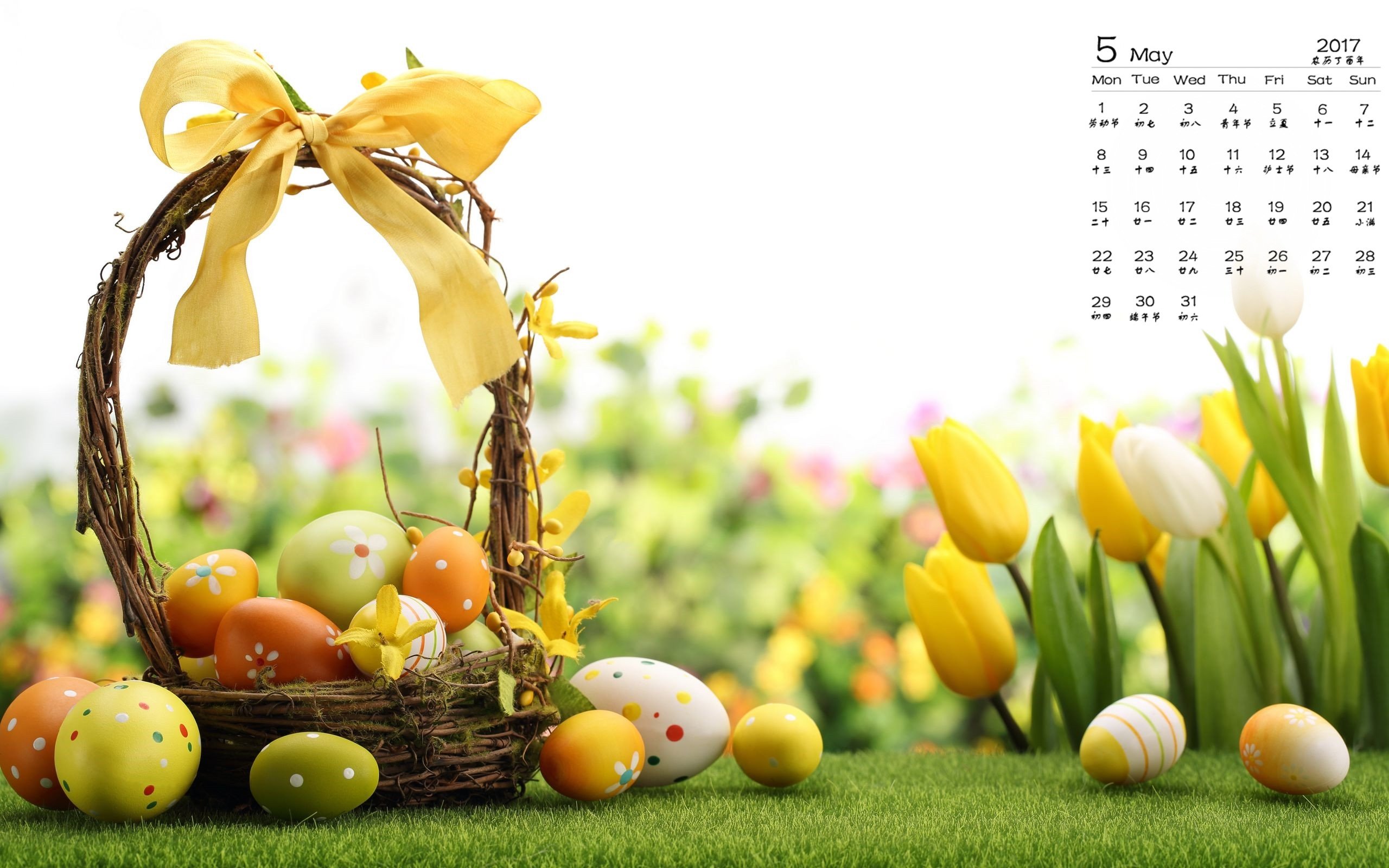 2017年5月,彩蛋,草地