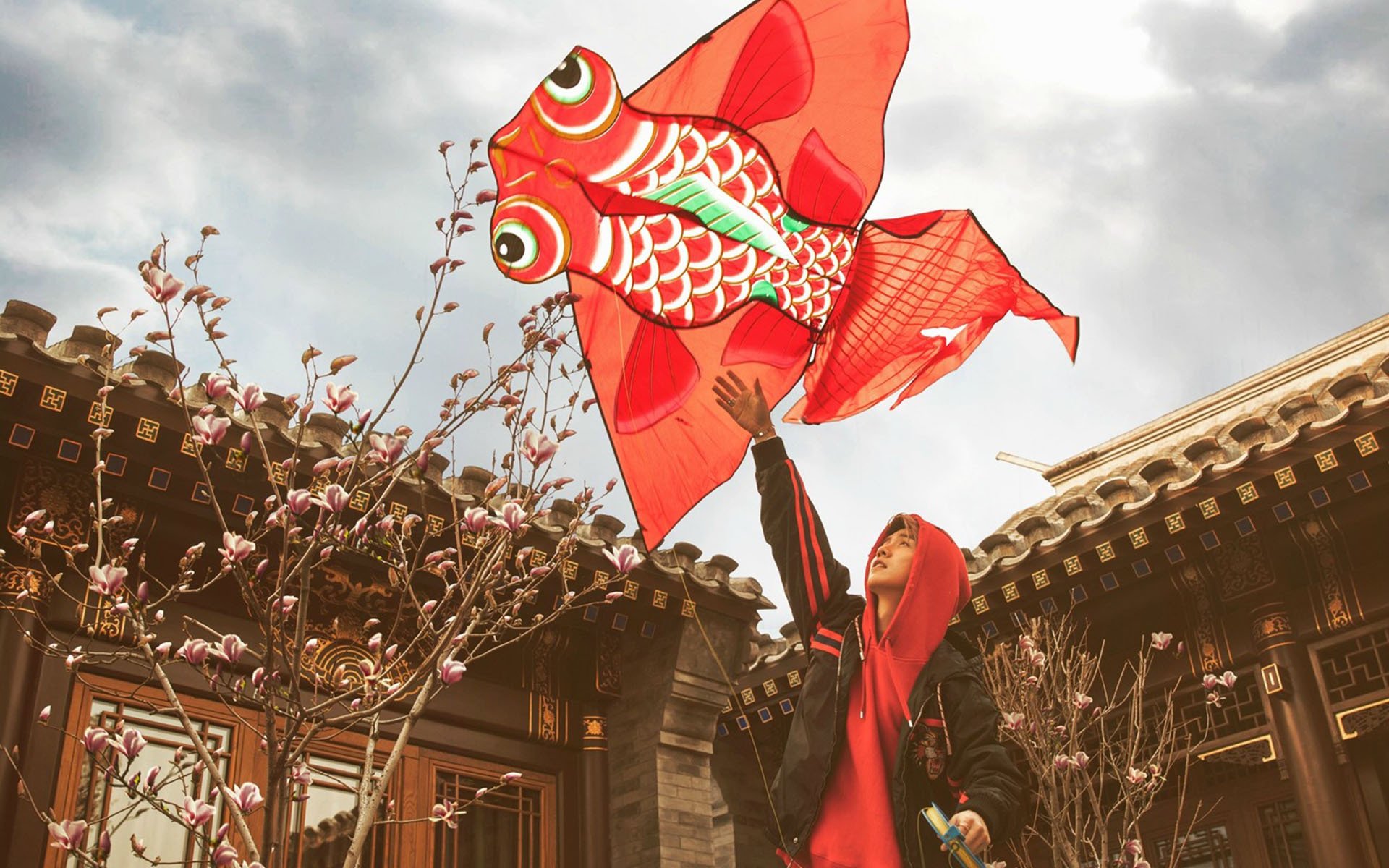 鹿晗,金鱼,风筝