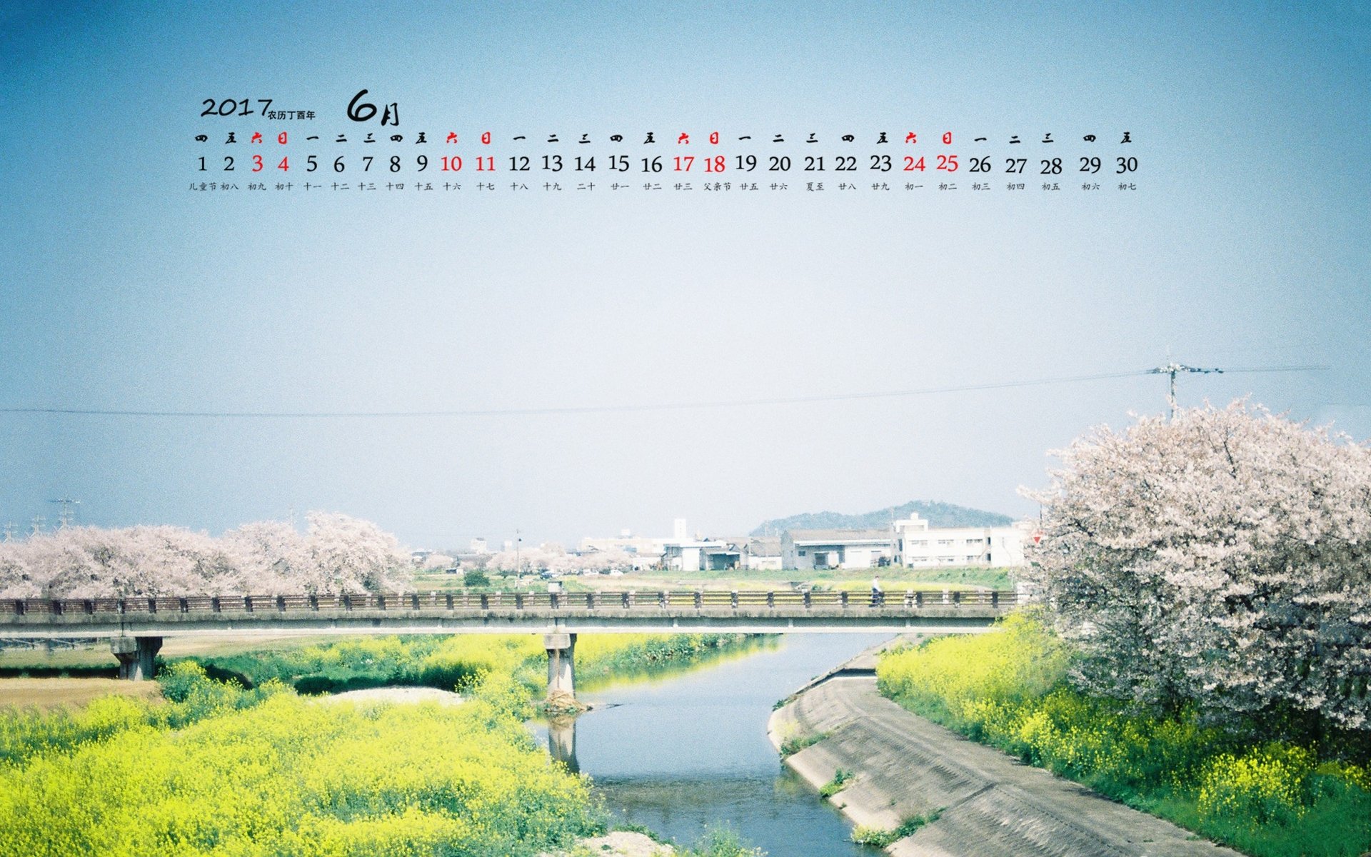 2017年6月,河流,鲜花