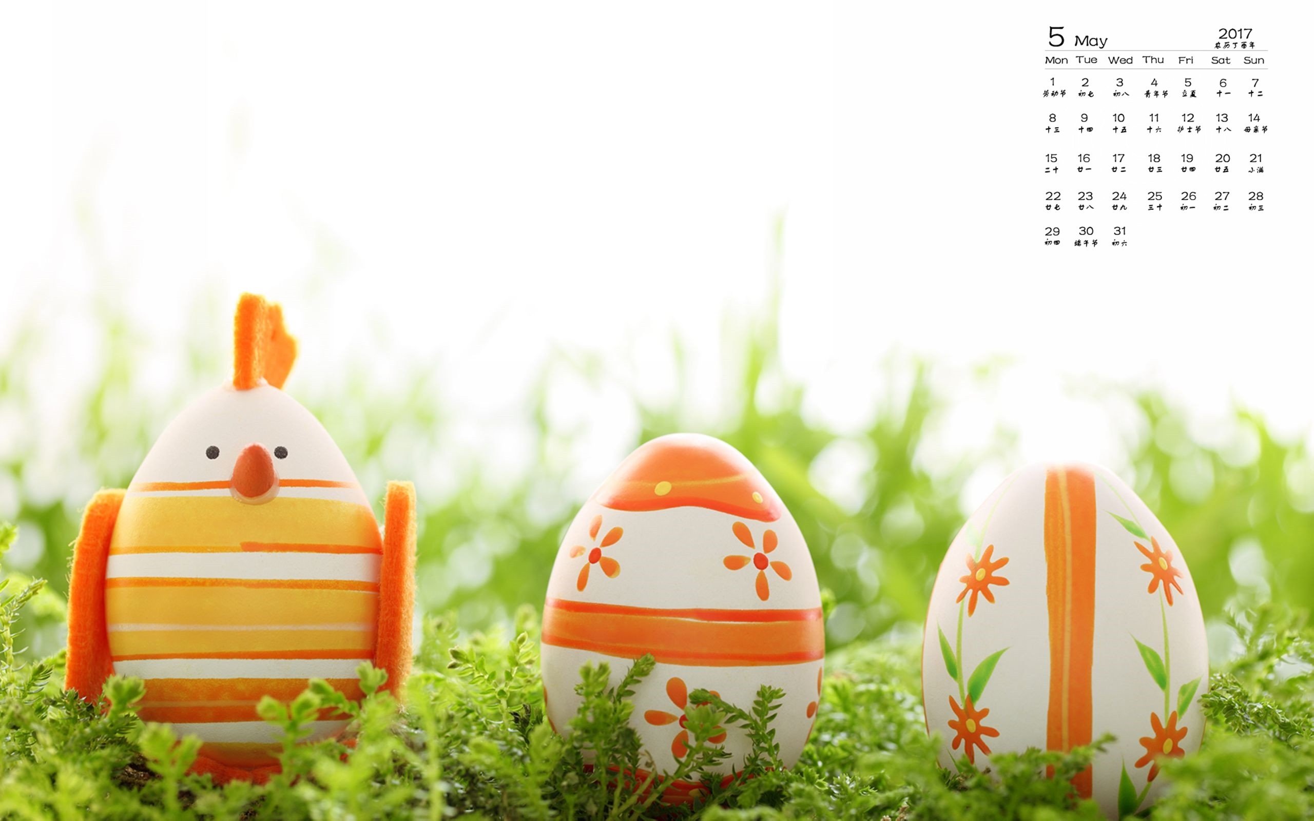 2017年5月,鸡蛋,手绘,草地