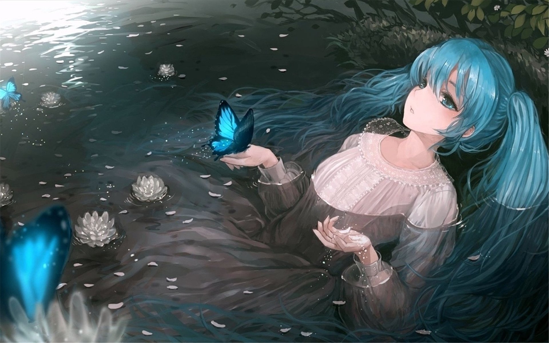 二次元,女孩,蝴蝶