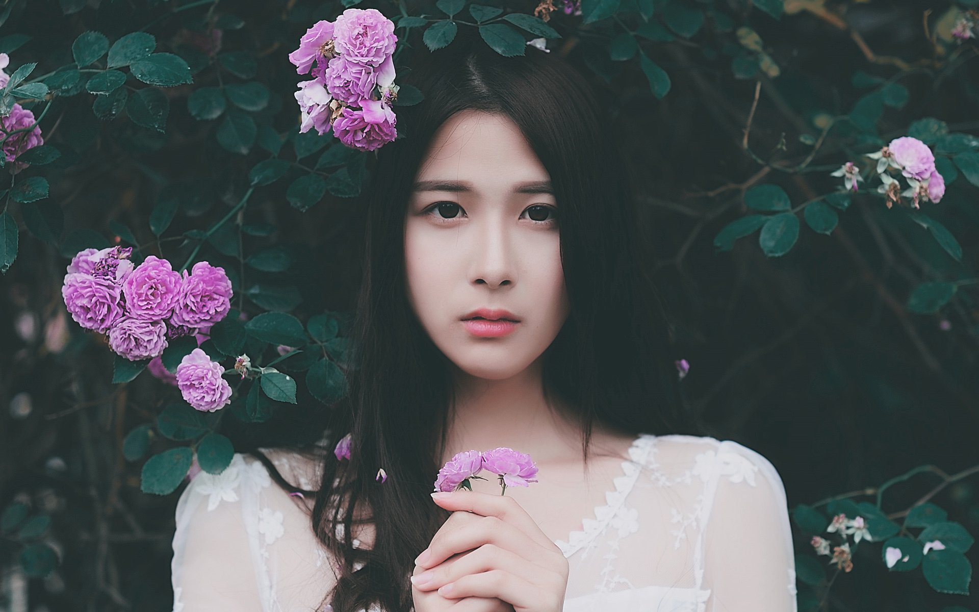 文艺古风,唯美,伤感,花丛