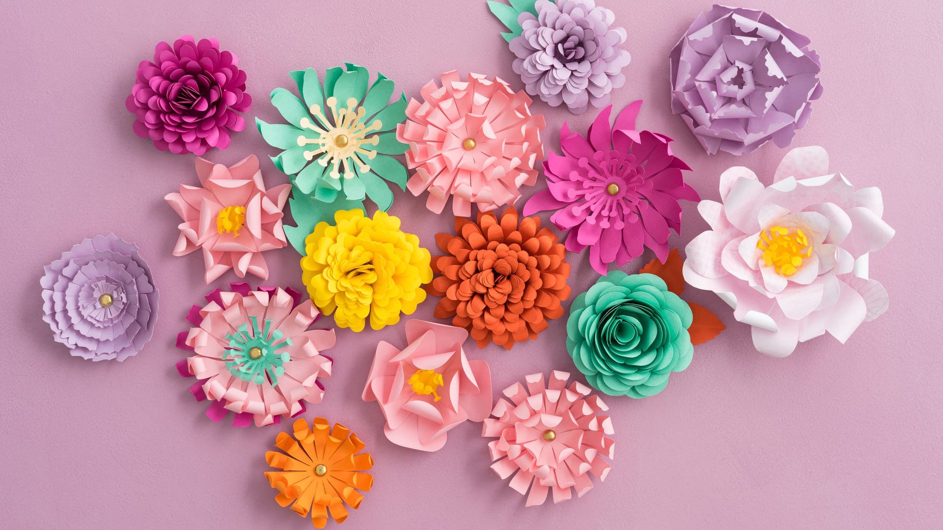 小清新,色彩,花朵