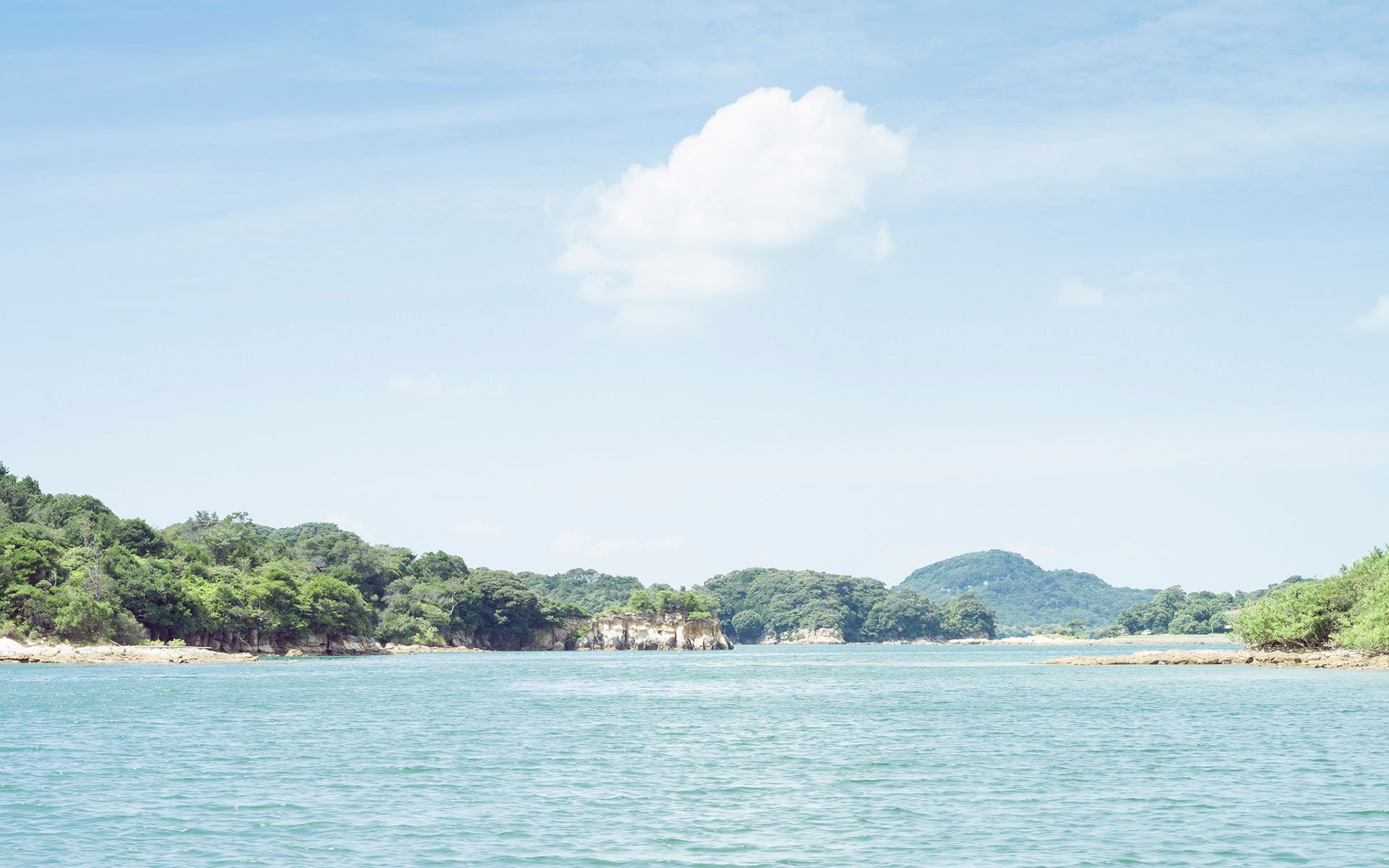 风景,湖泊,植物