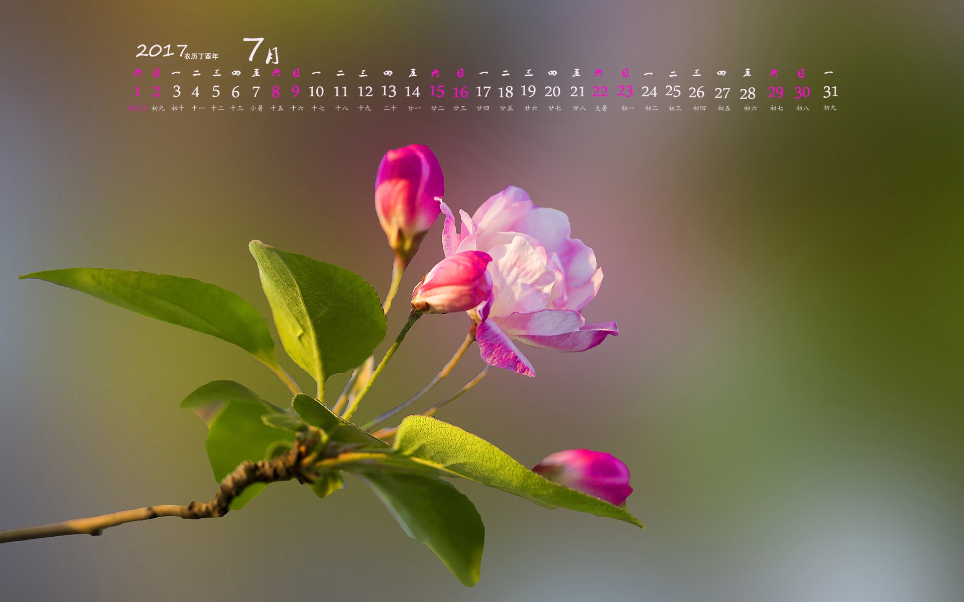 月历壁纸,2017年7月