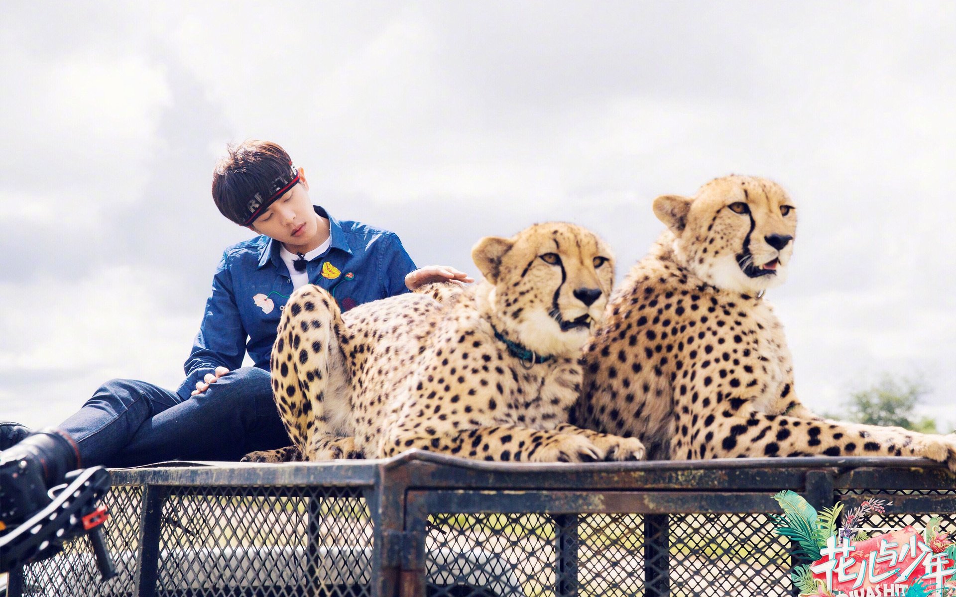 影视,综艺,张若昀,花儿与少年3