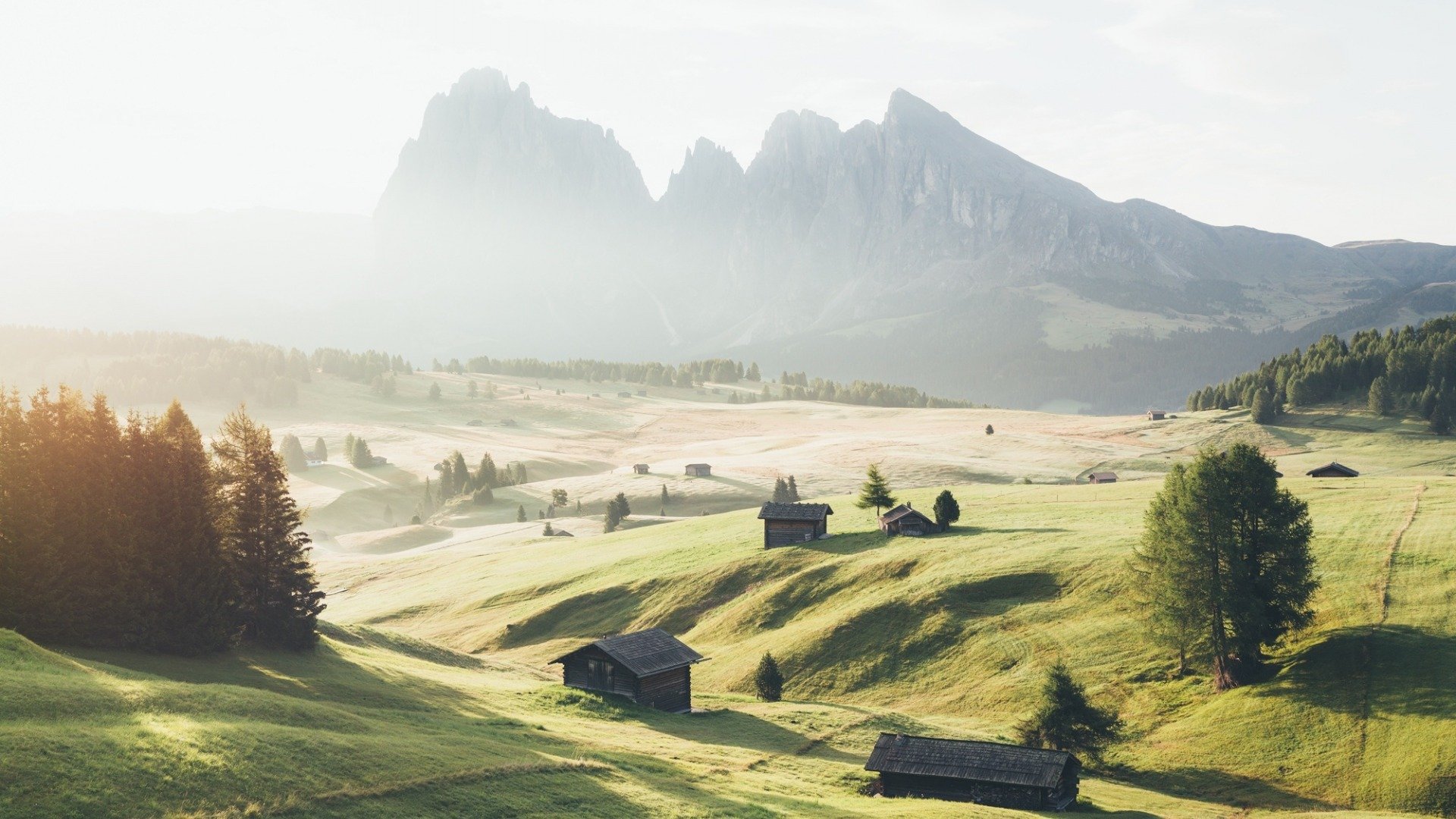 清晨,风景,草地