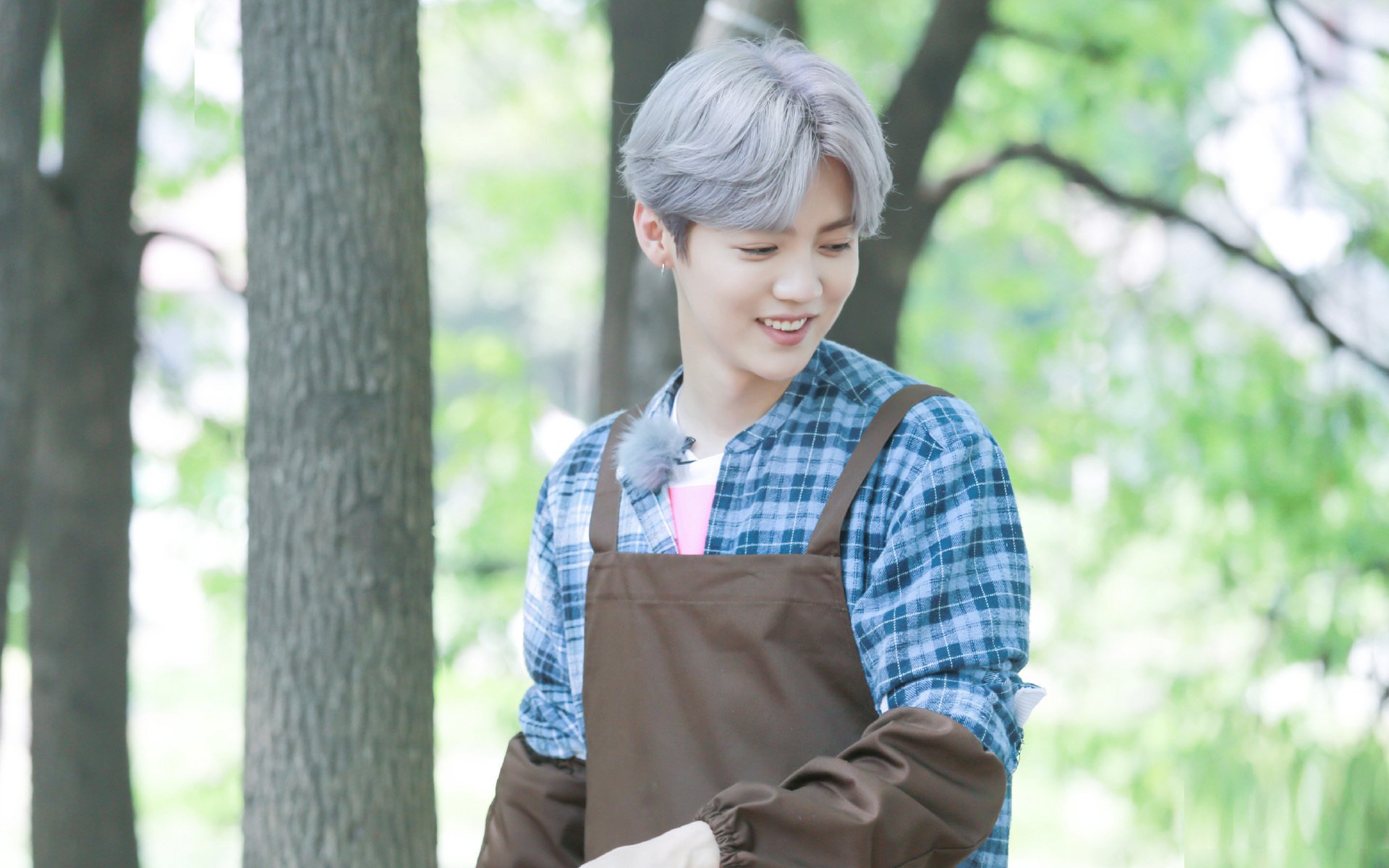 鹿晗,明星,小鲜肉