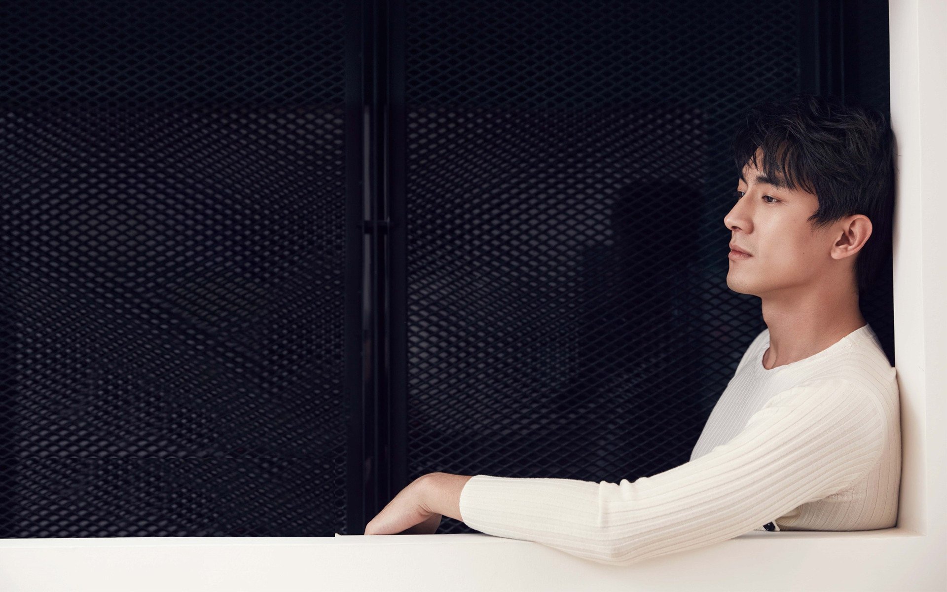 明星,大陆,林更新