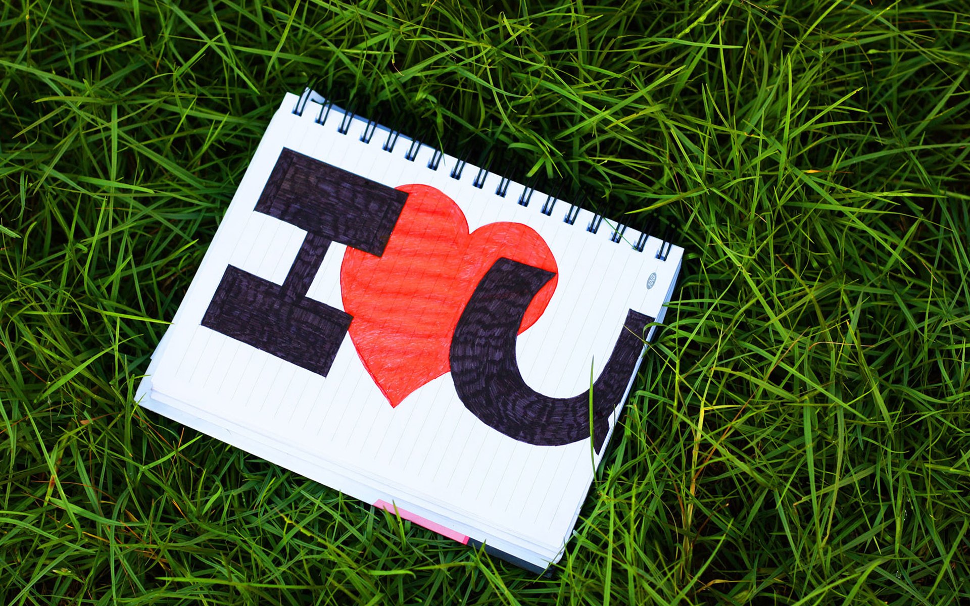 爱情,手绘,草地